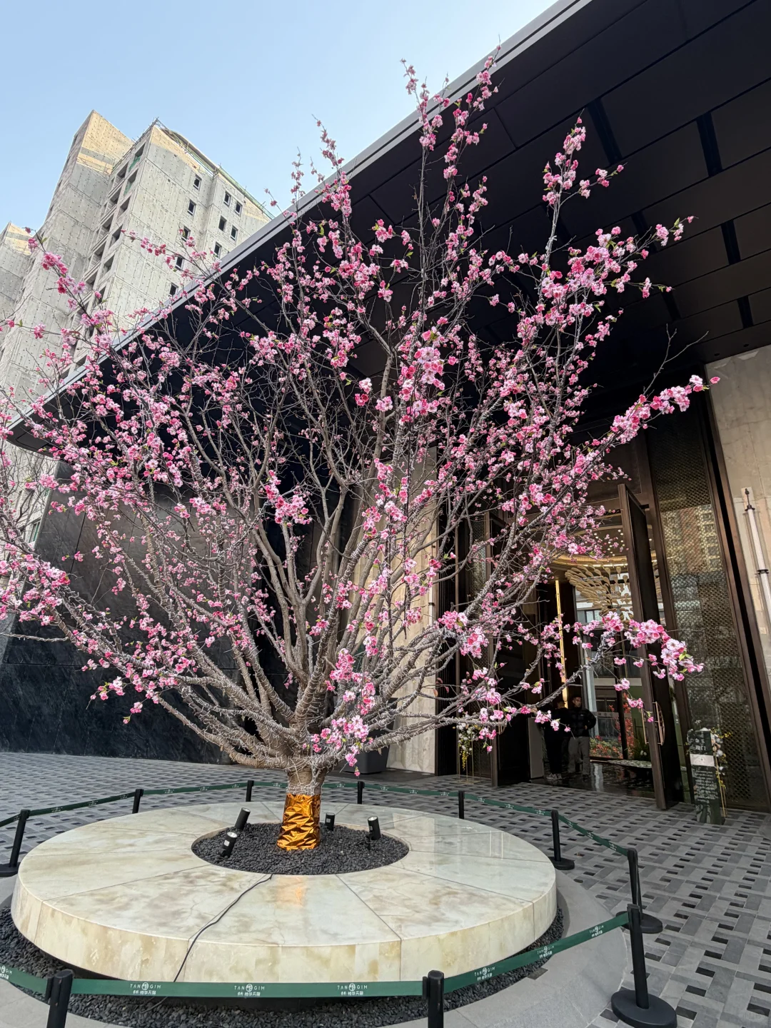 在石家庄，也算一只脚踏入富人区了……