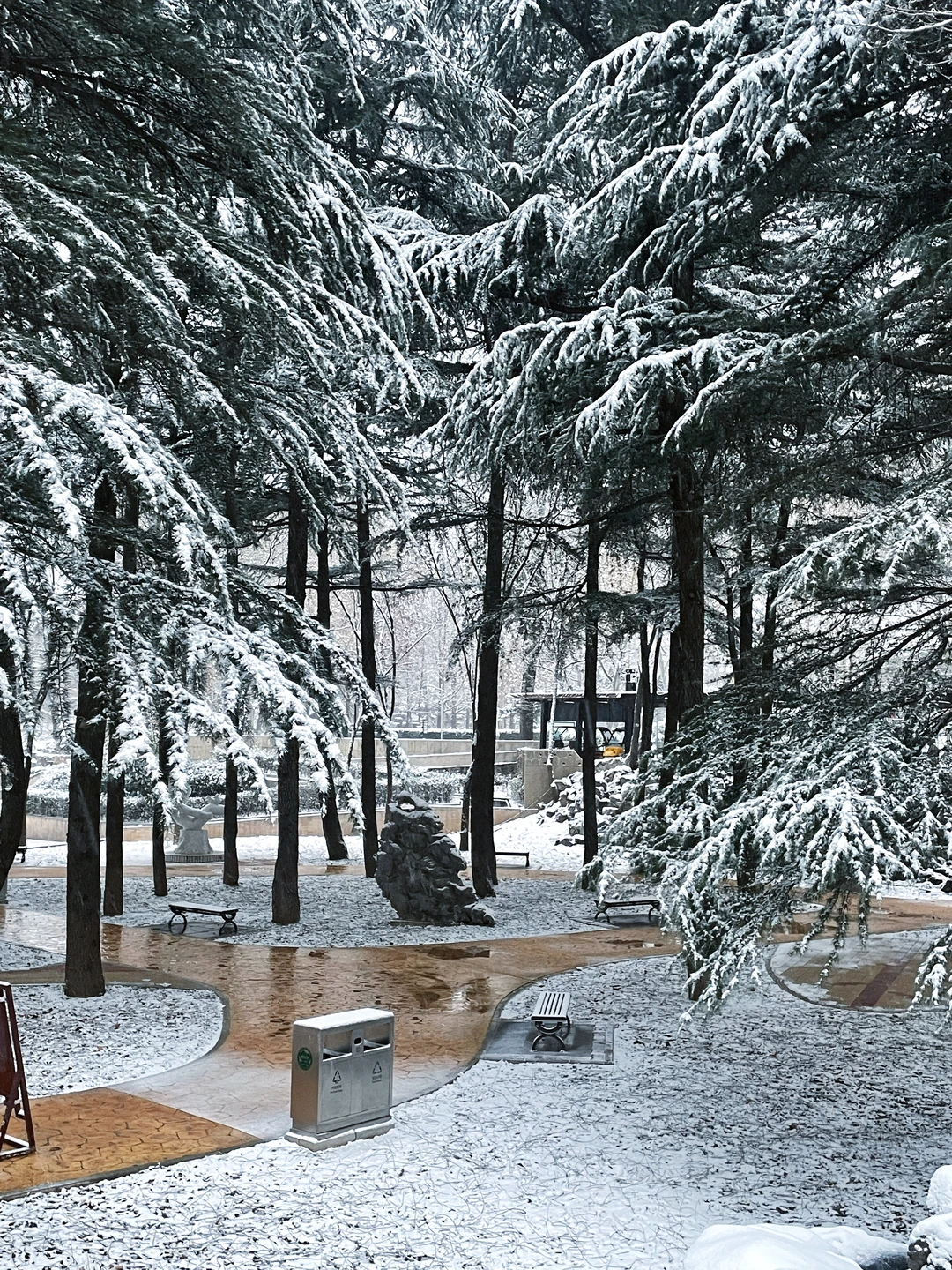 12.12实况 ｜石家庄下雪了