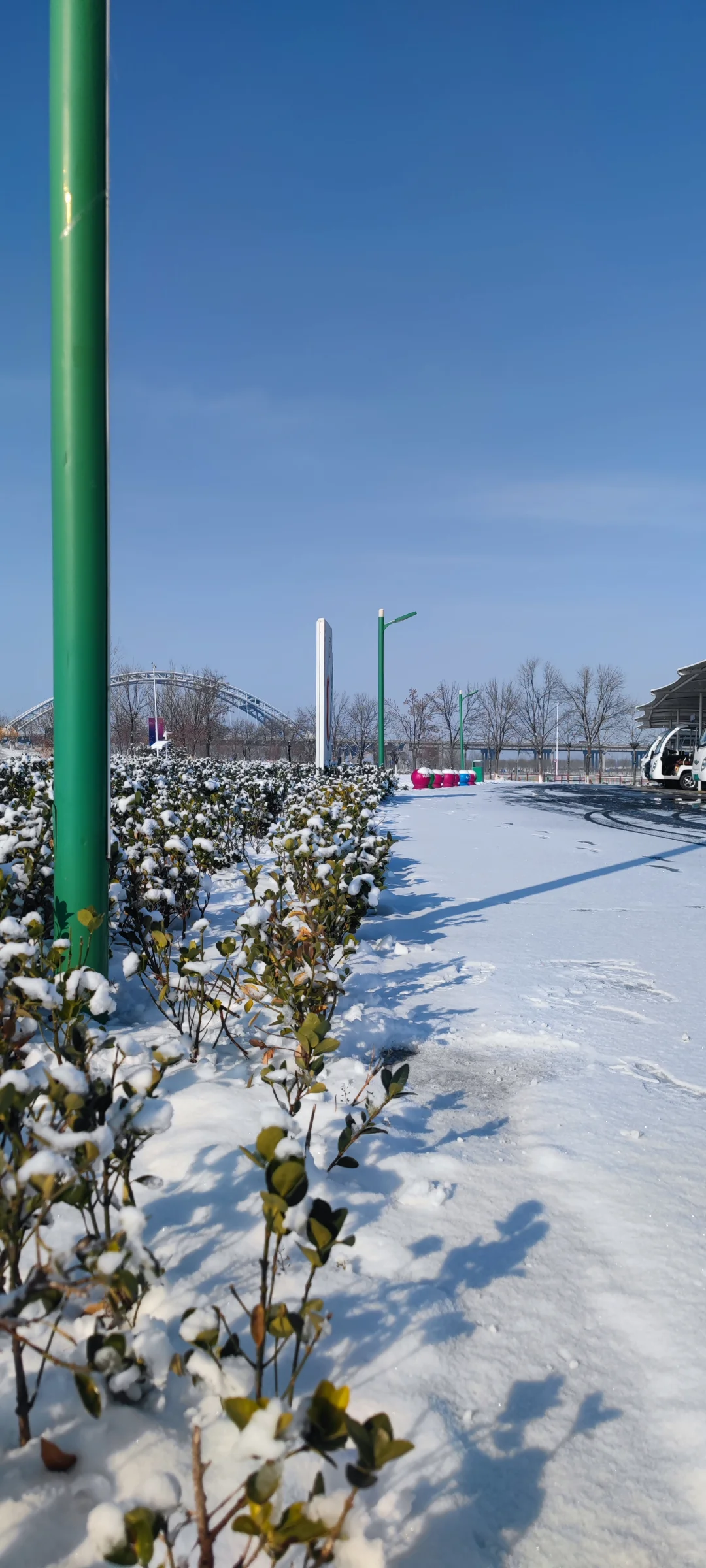 石家庄今年的第一场雪