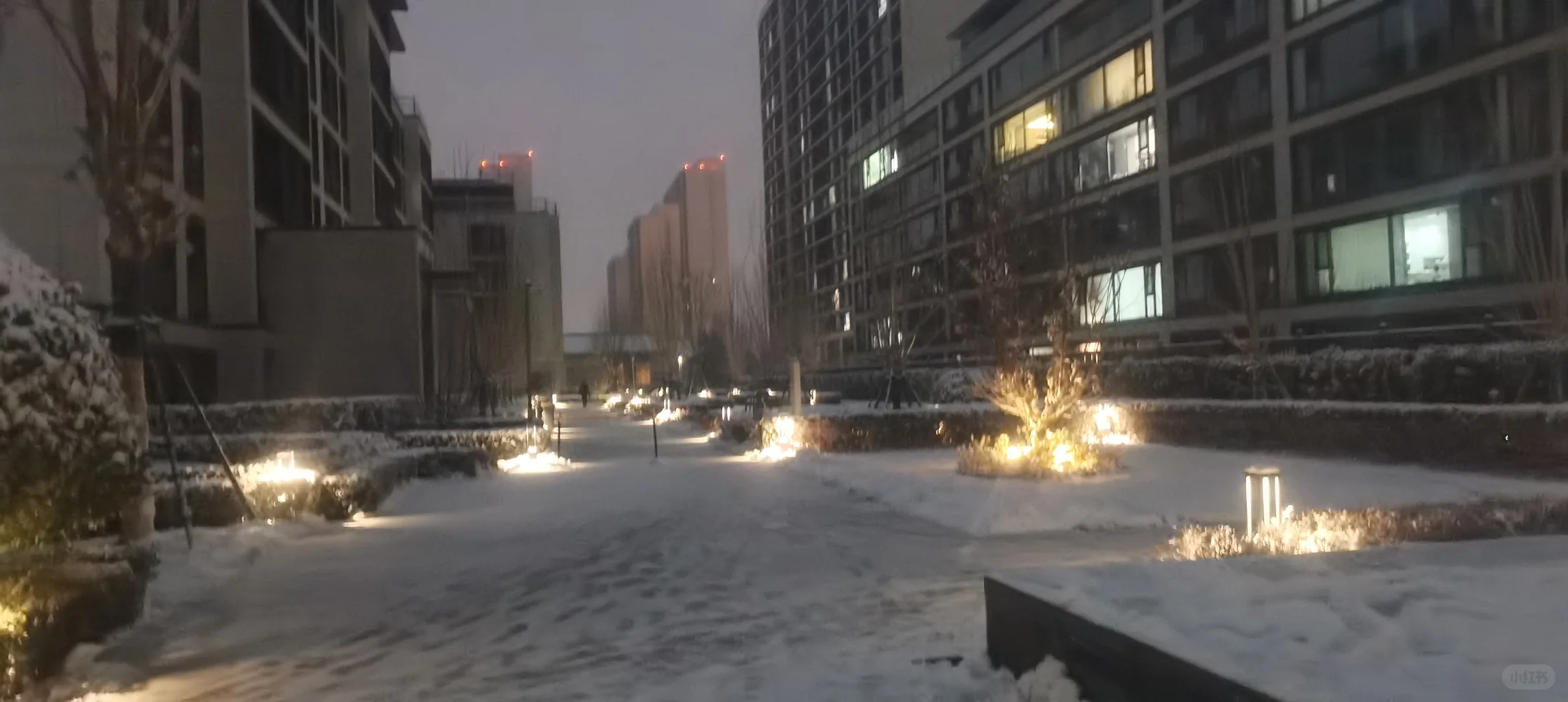 石家庄，你终于下雪了✌︎˶╹ꇴ╹˶✌︎