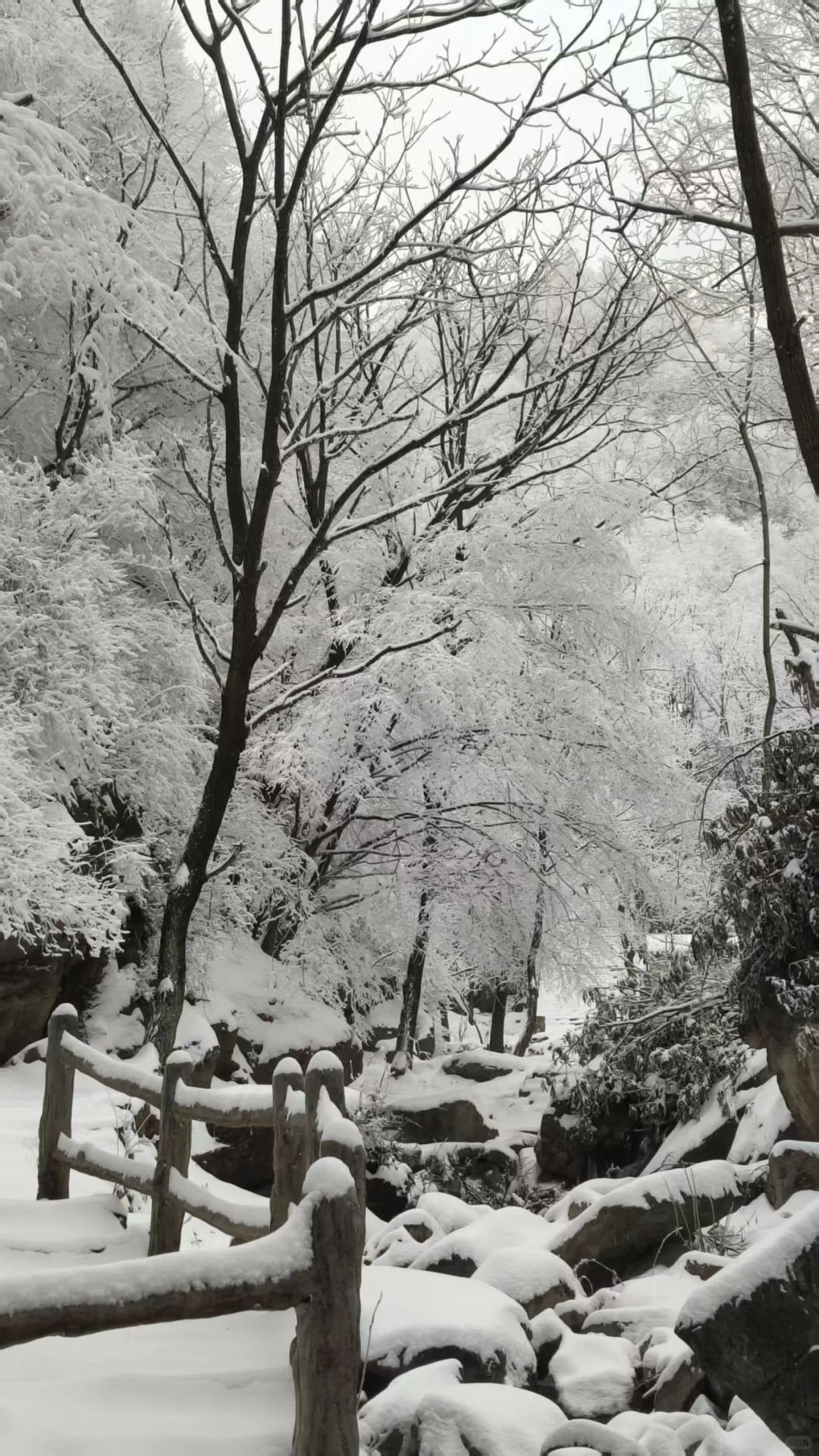 石家庄的雪如约而至