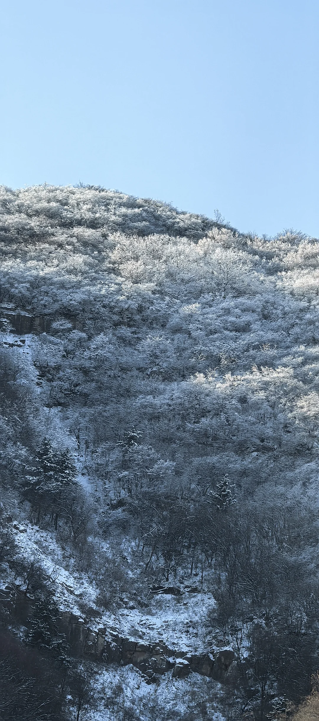 石家庄新人友好徒步团，招搭子跟我们玩雪去