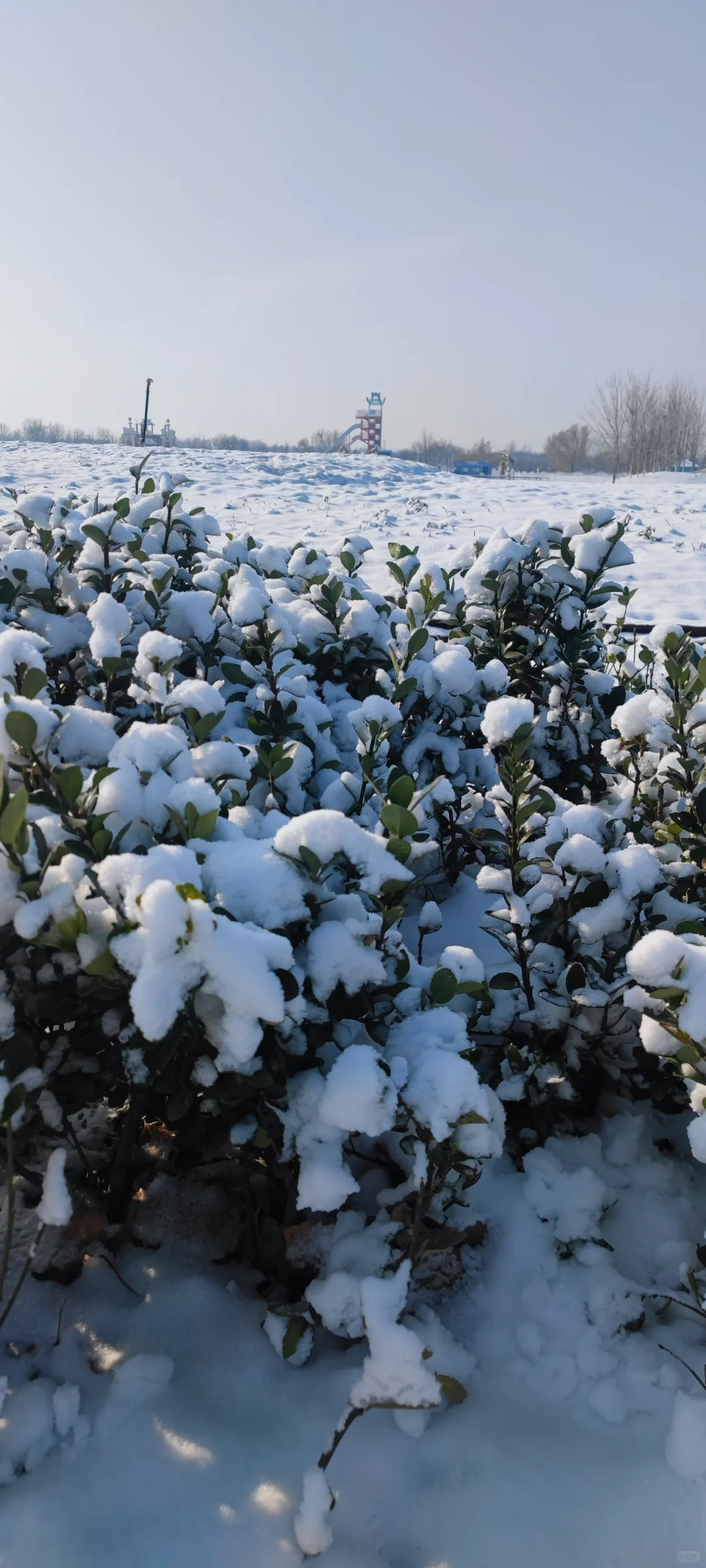 石家庄今年的第一场雪