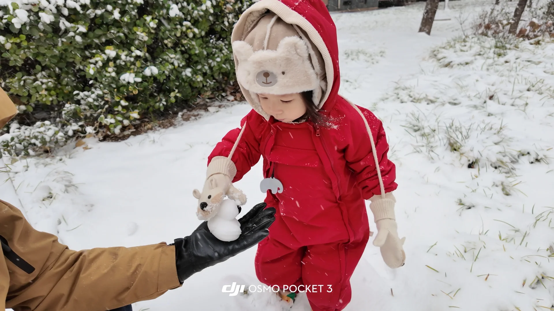 石家庄下雪啦 雪橇没白买