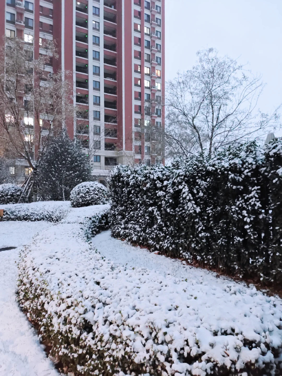初雪❄️的石家庄
