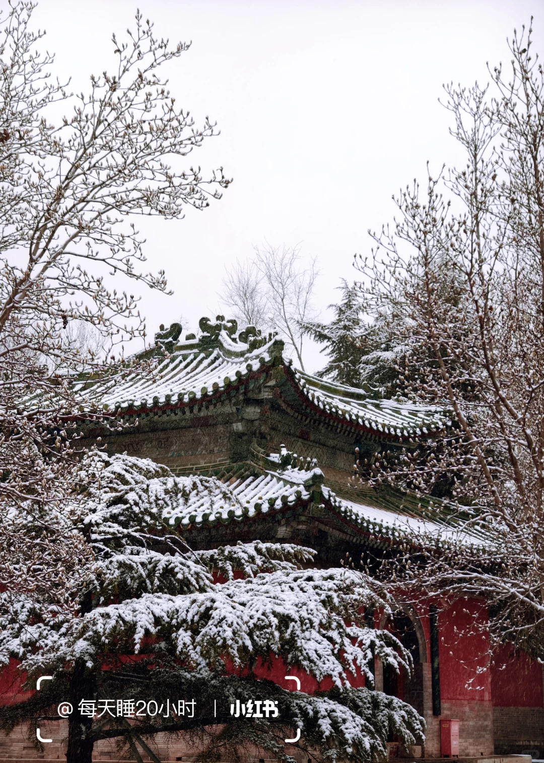 石家庄下雪啦❄️
