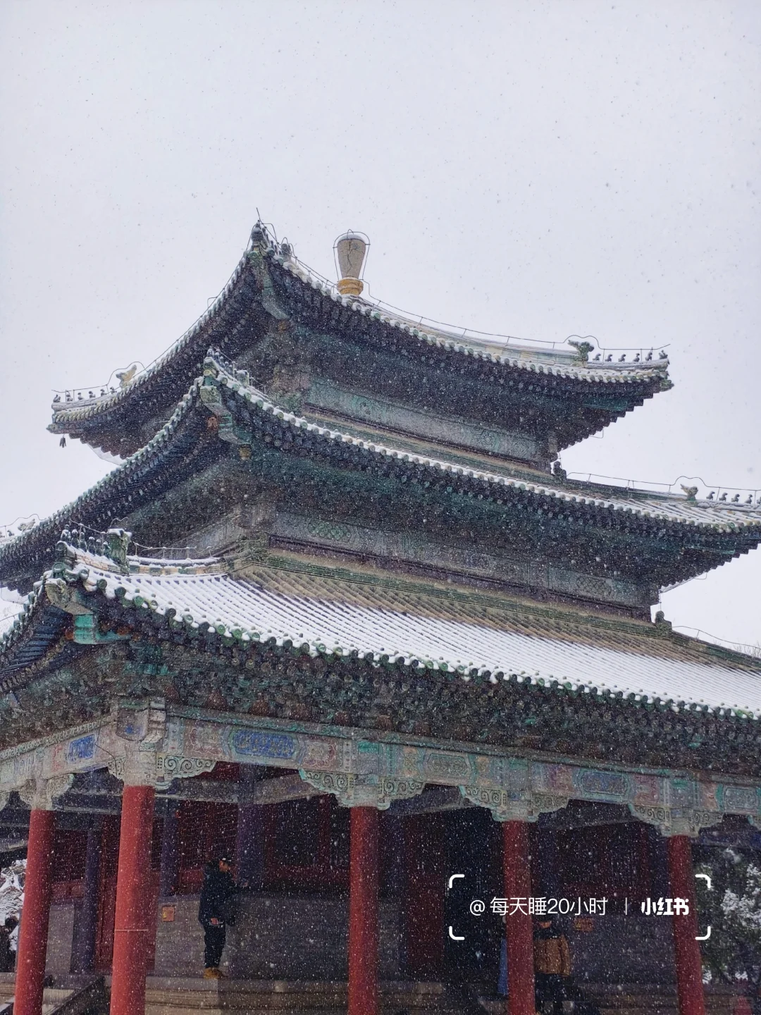 石家庄下雪啦❄️