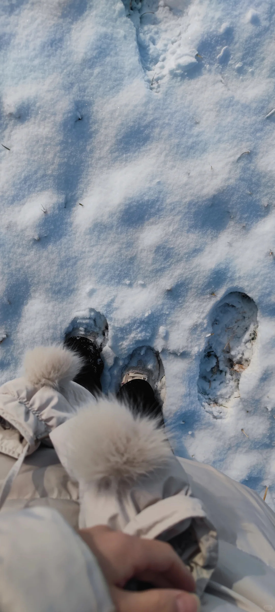 石家庄今年的第一场雪