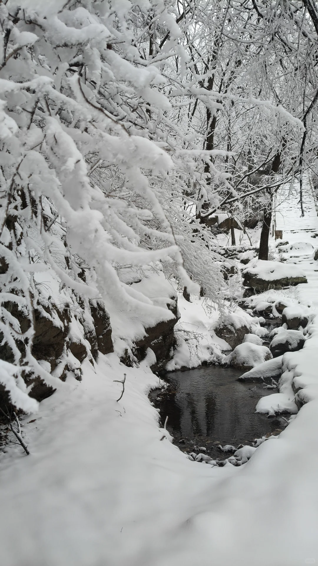石家庄的雪如约而至
