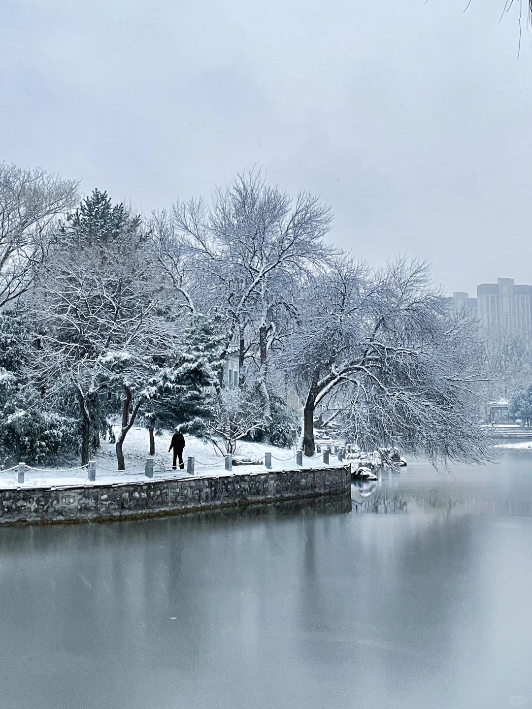 12.12实况 ｜石家庄下雪了