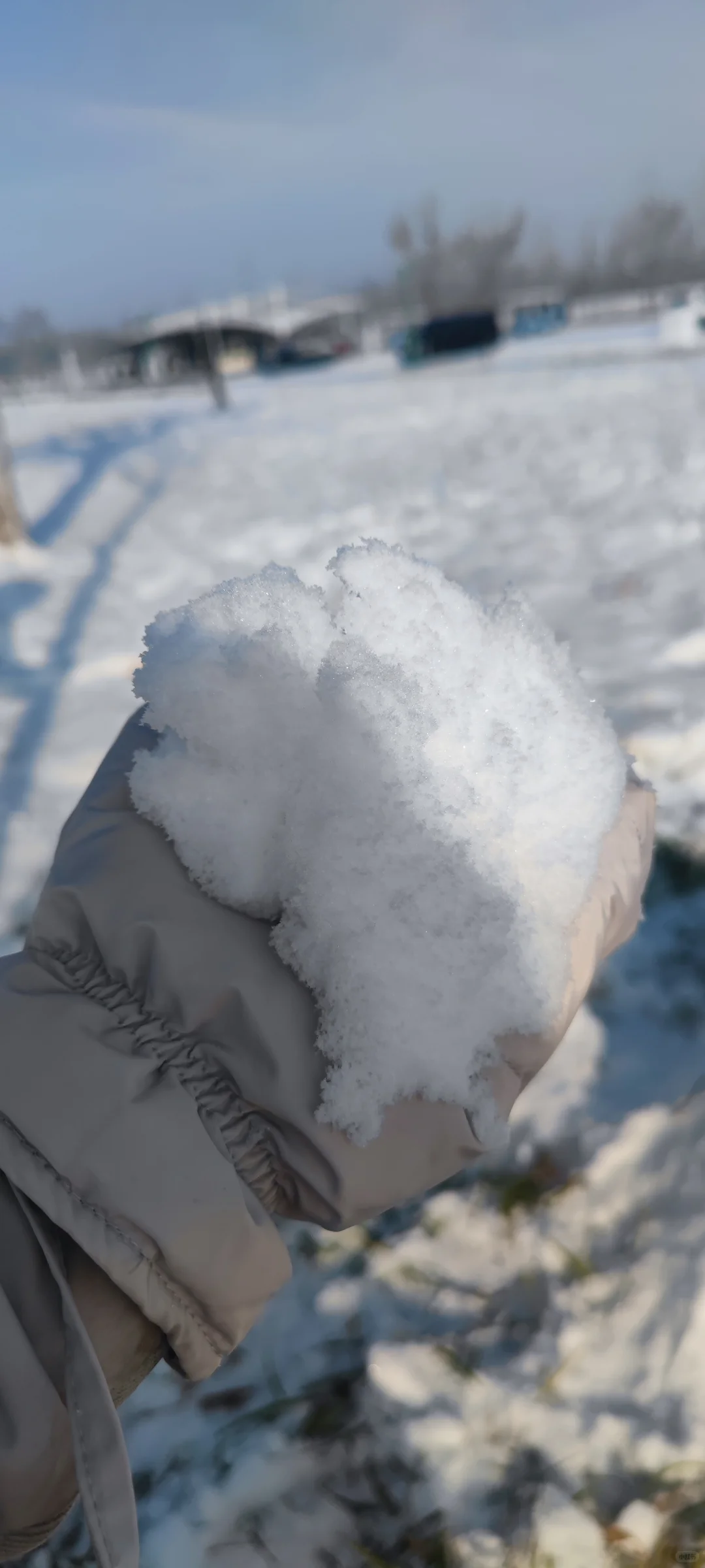 石家庄今年的第一场雪