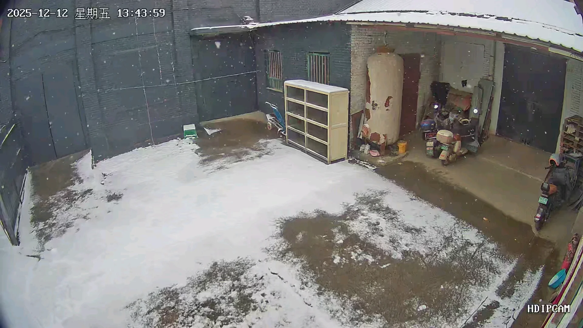 石家庄的雪来了！！！实时各地汇报！🌨️