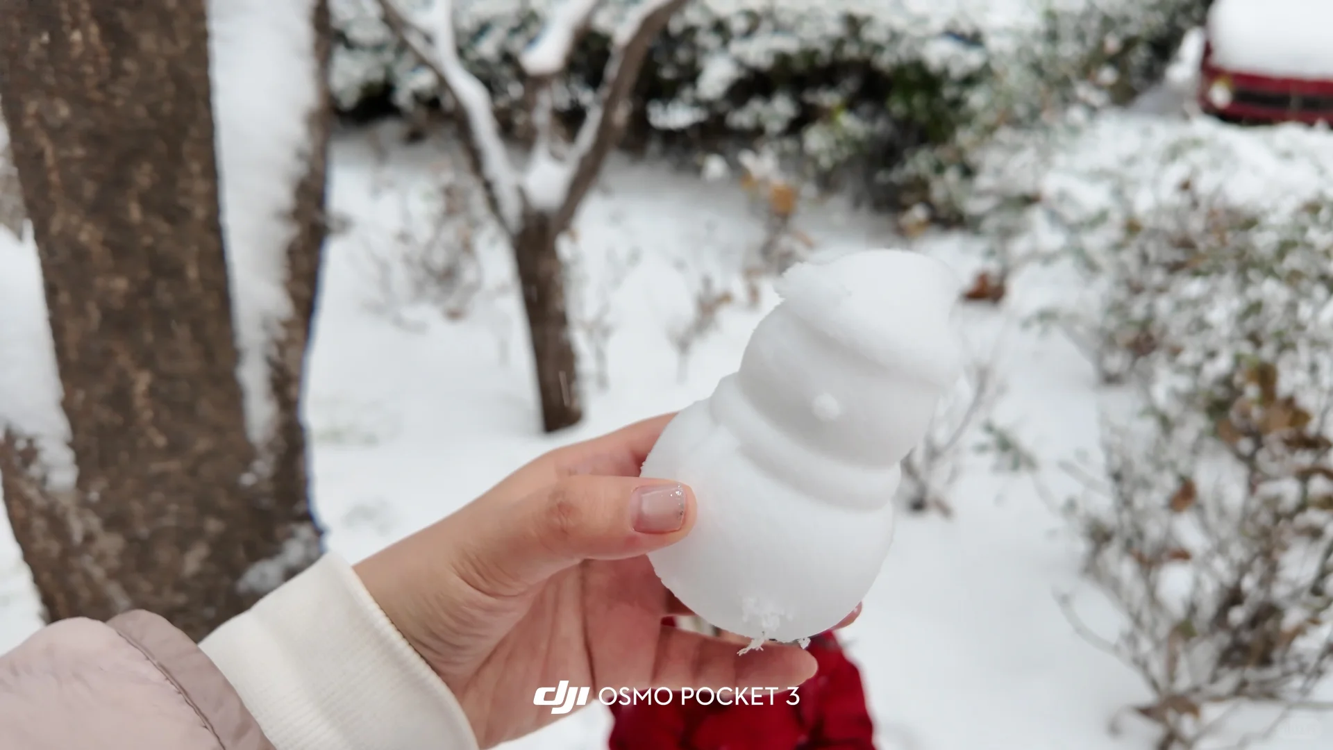 石家庄下雪啦 雪橇没白买