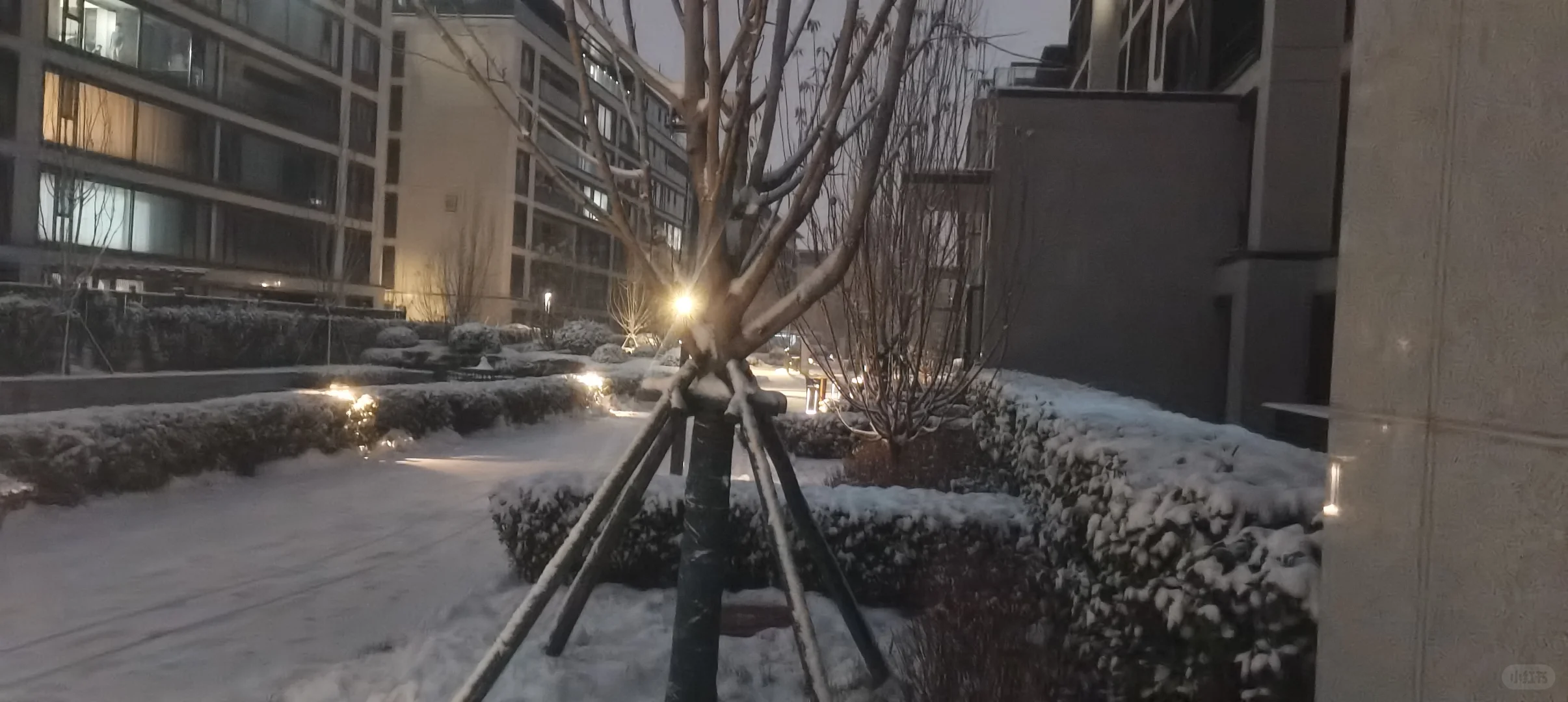 石家庄，你终于下雪了✌︎˶╹ꇴ╹˶✌︎