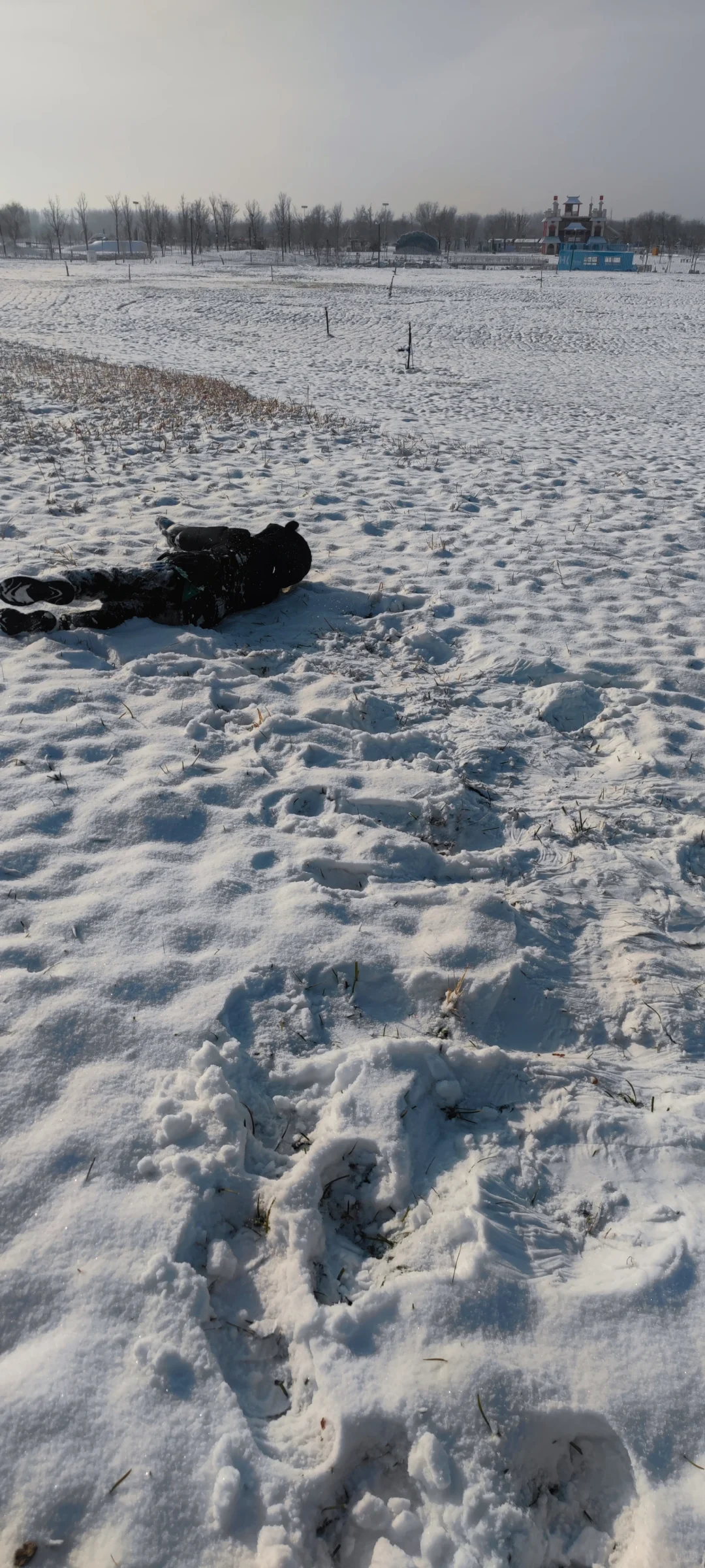 石家庄今年的第一场雪