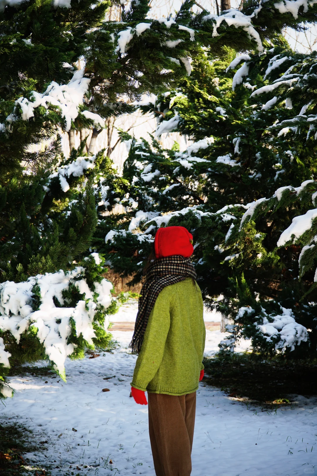石家庄|庄里有自己的小樽