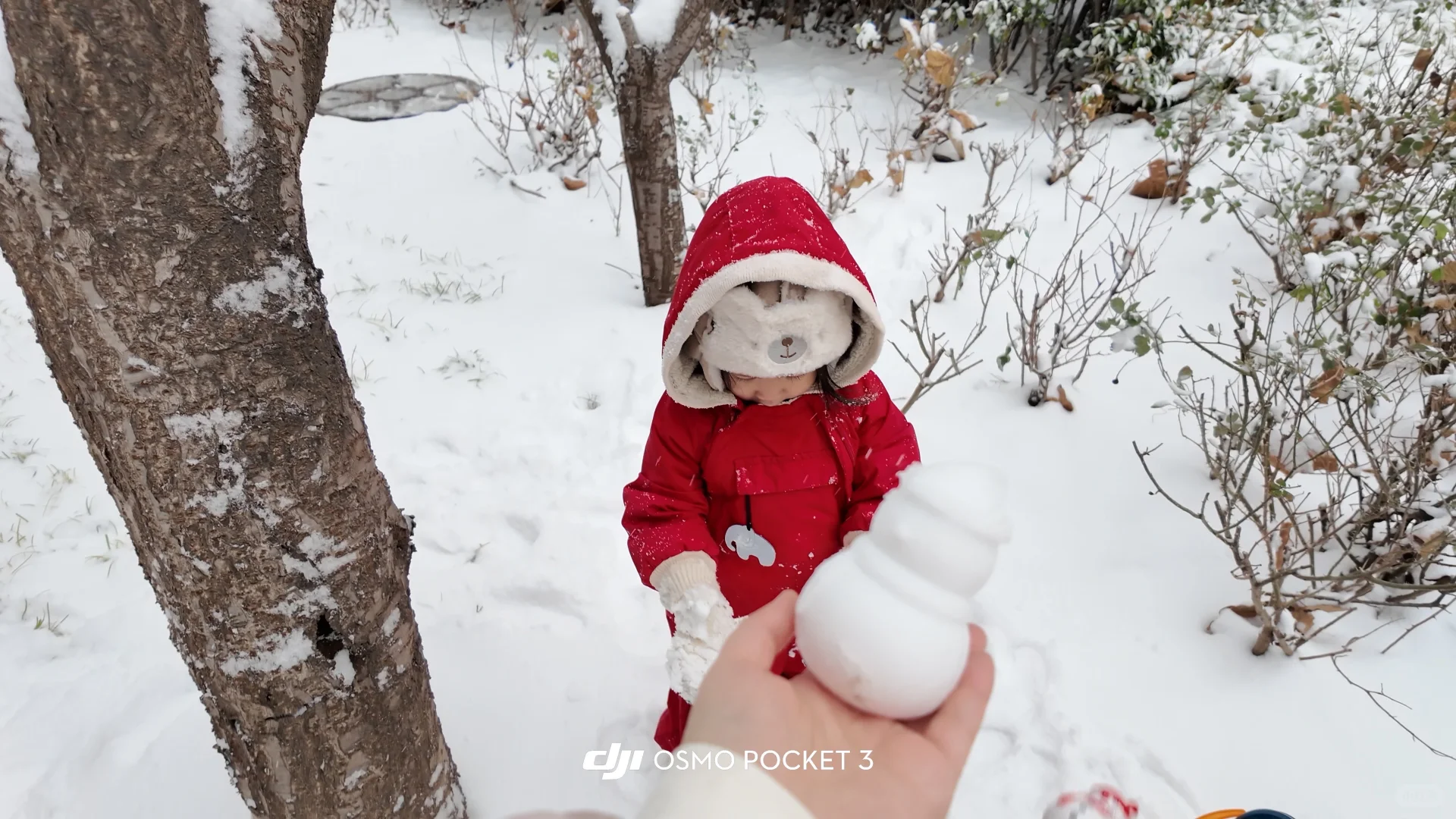 石家庄下雪啦 雪橇没白买