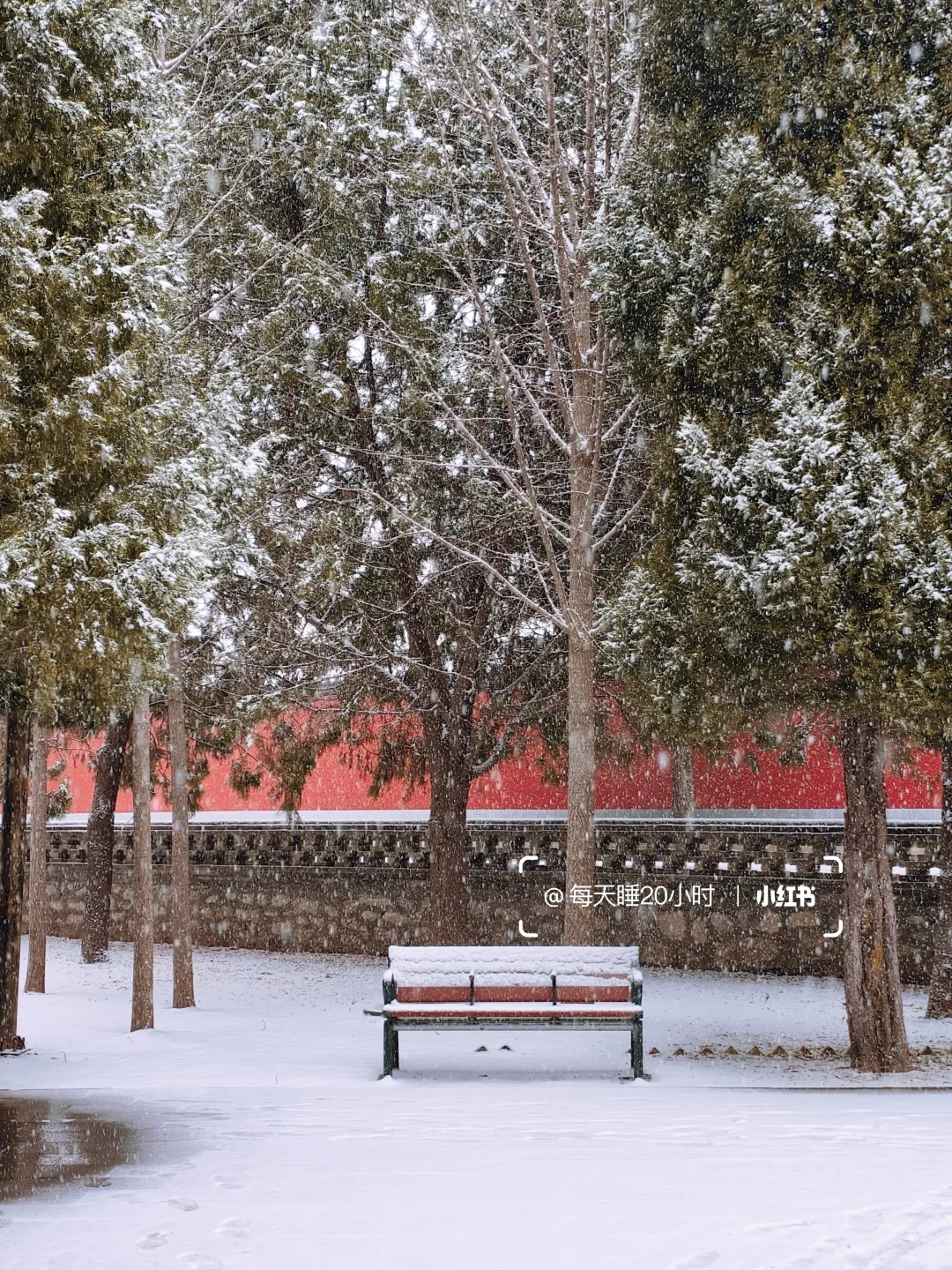 石家庄下雪啦❄️