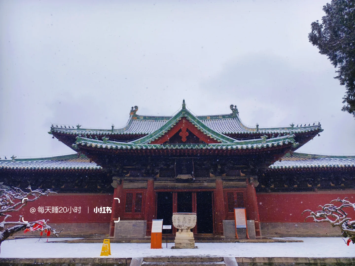 石家庄下雪啦❄️