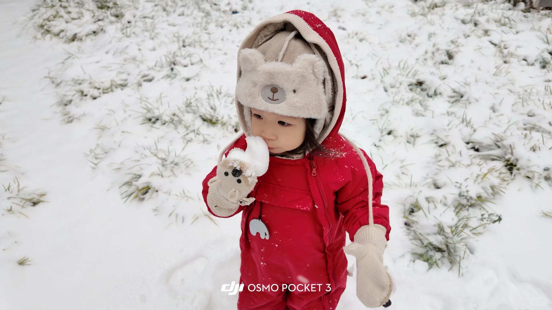 石家庄下雪啦 雪橇没白买