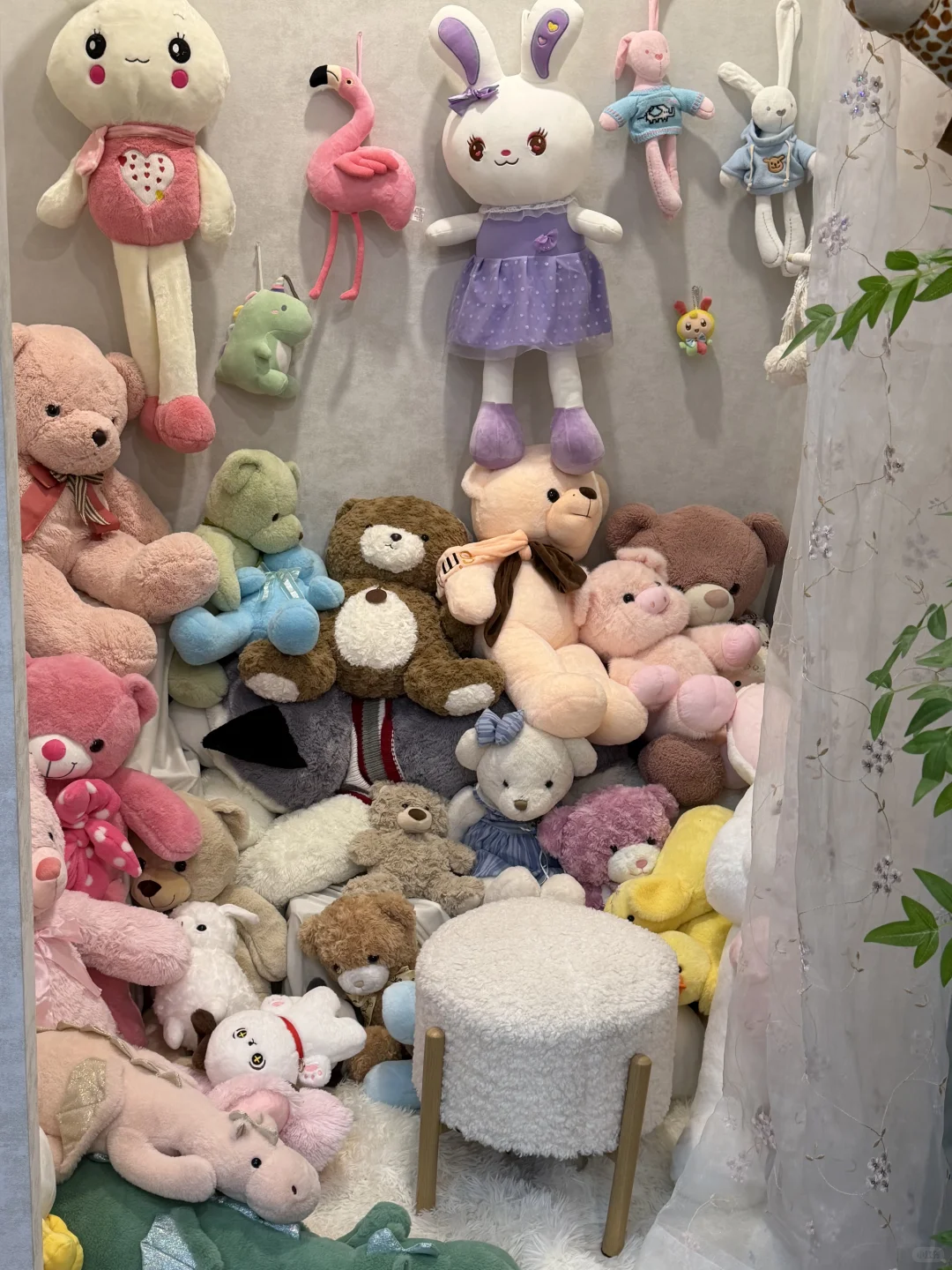 终于找到石家庄可以撸鸟的地方啦！