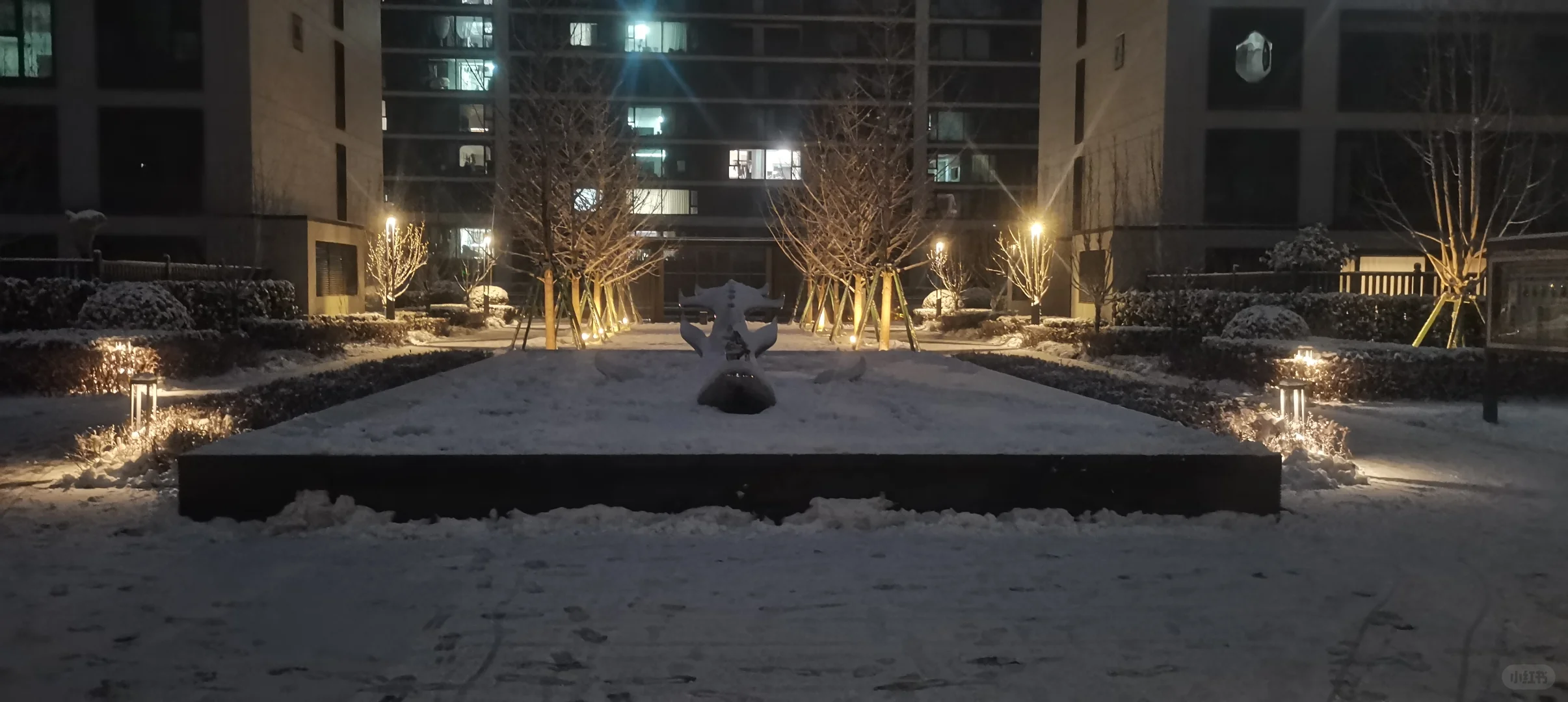 石家庄，你终于下雪了✌︎˶╹ꇴ╹˶✌︎