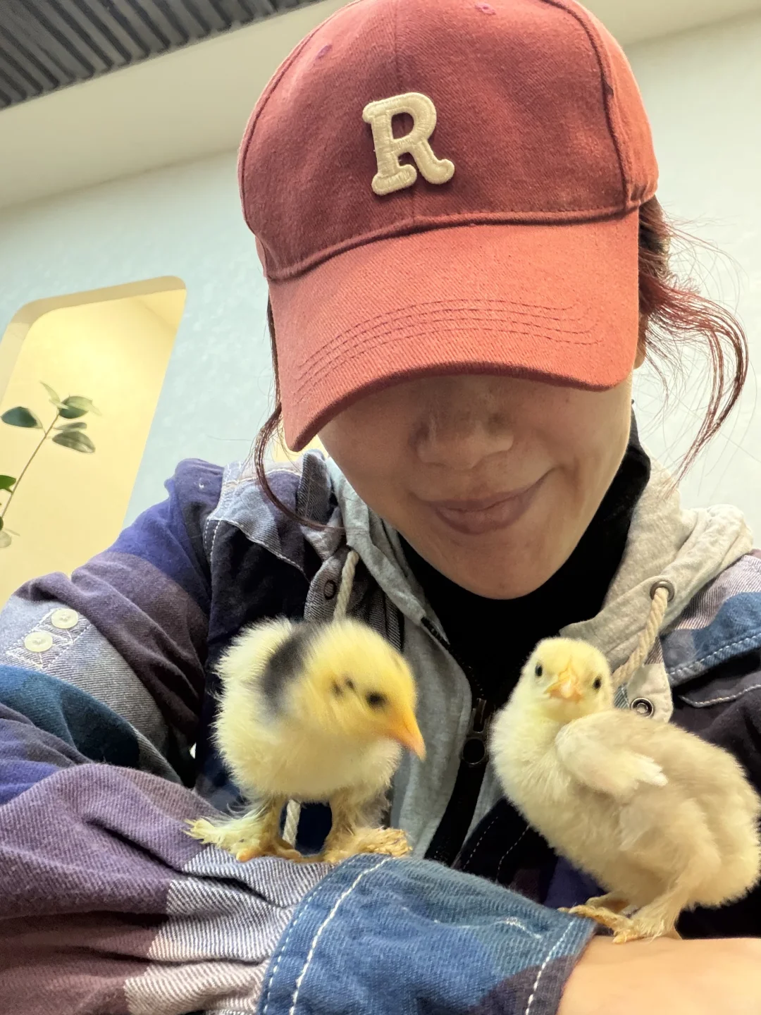 终于找到石家庄可以撸鸟的地方啦！