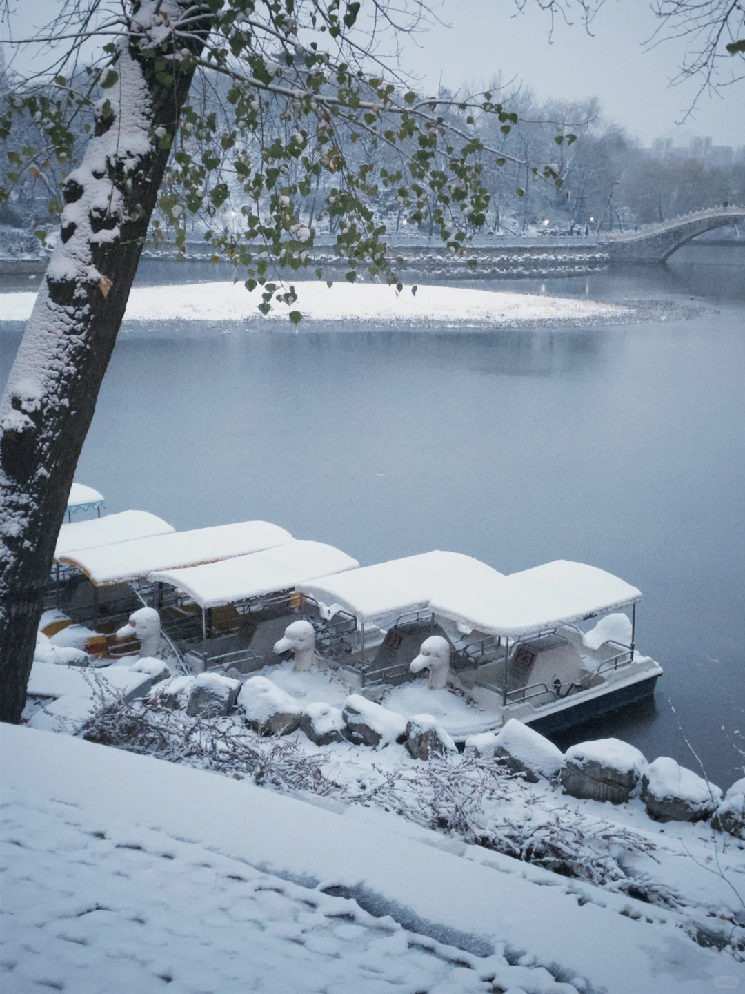 12.12实况 ｜石家庄下雪了
