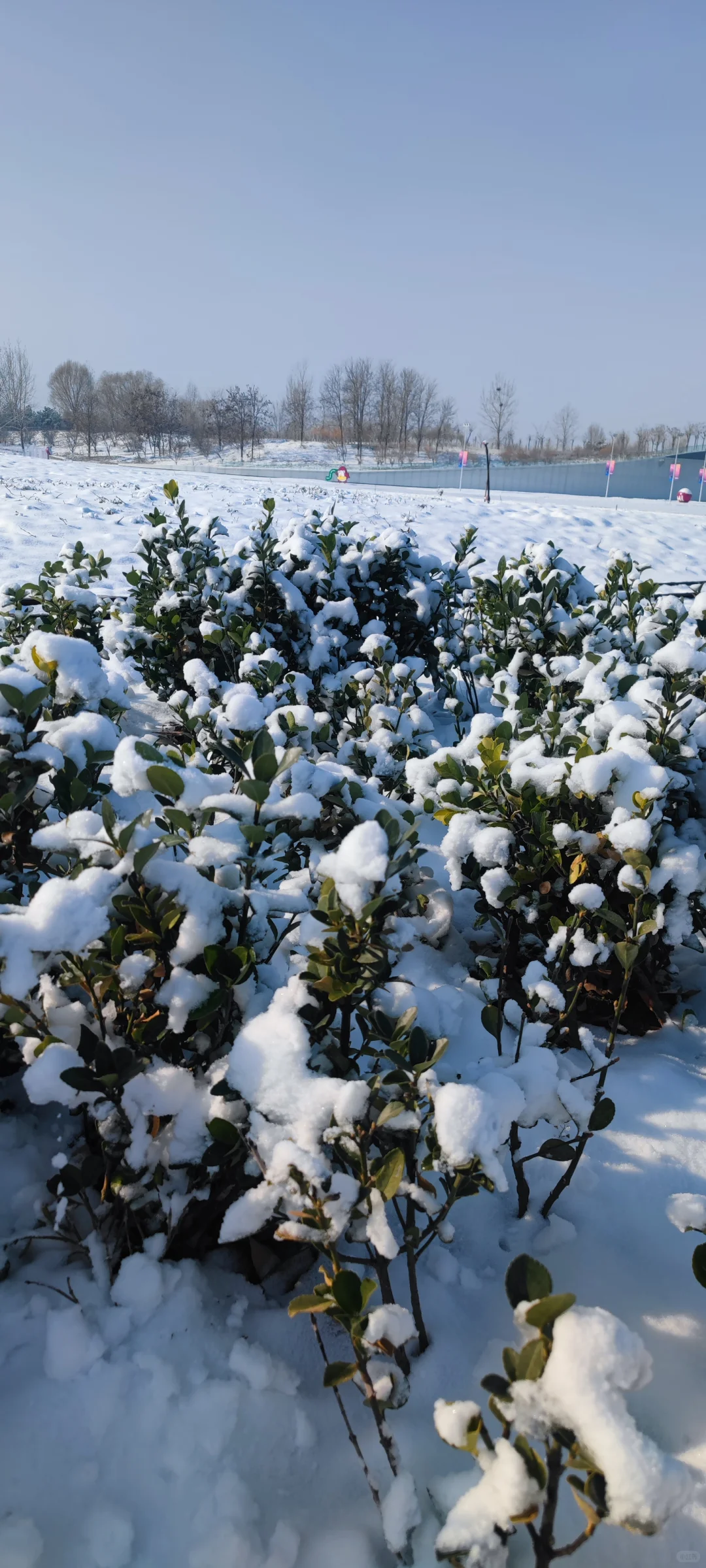 石家庄今年的第一场雪