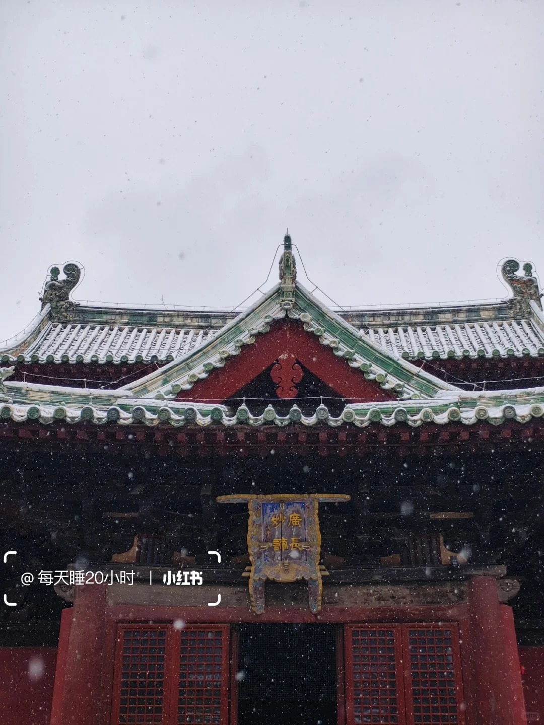 石家庄下雪啦❄️