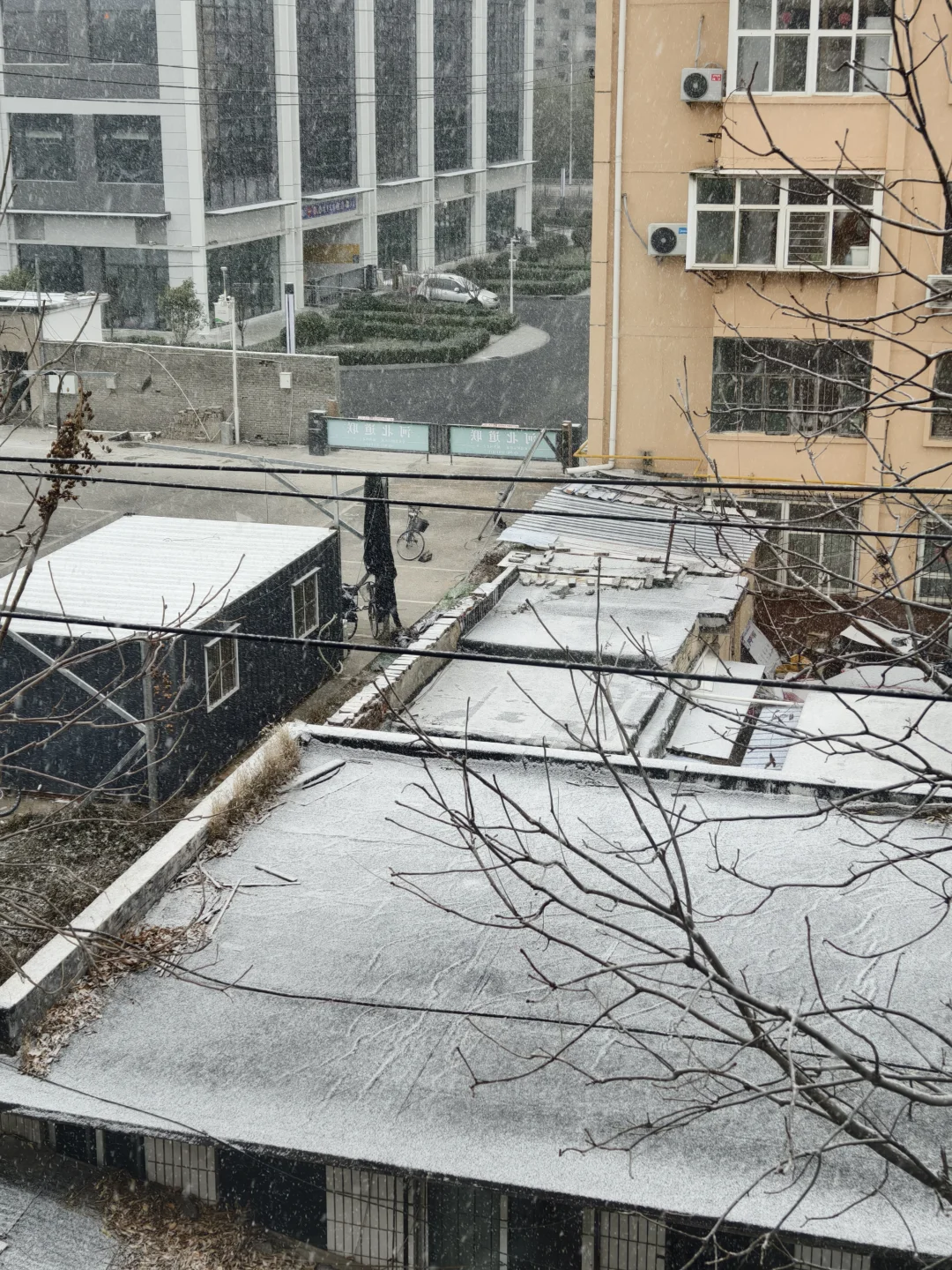 想看看大家拍到石家庄的雪景