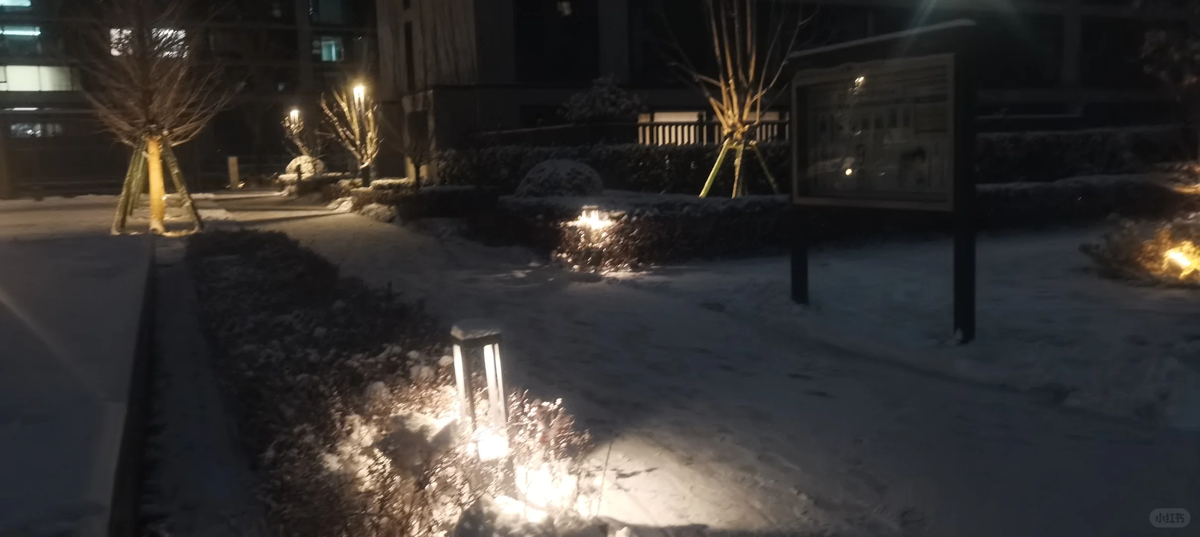 石家庄，你终于下雪了✌︎˶╹ꇴ╹˶✌︎