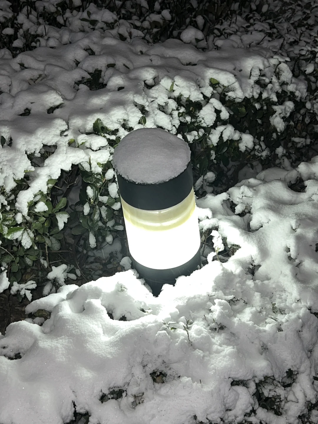 石家庄终于下雪了！