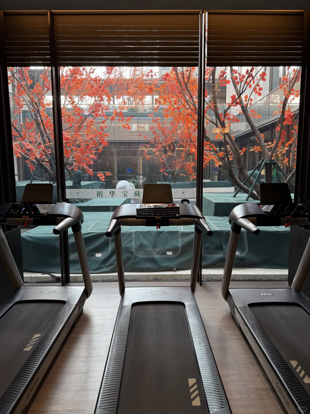 在石家庄，也算一只脚踏入富人区了……