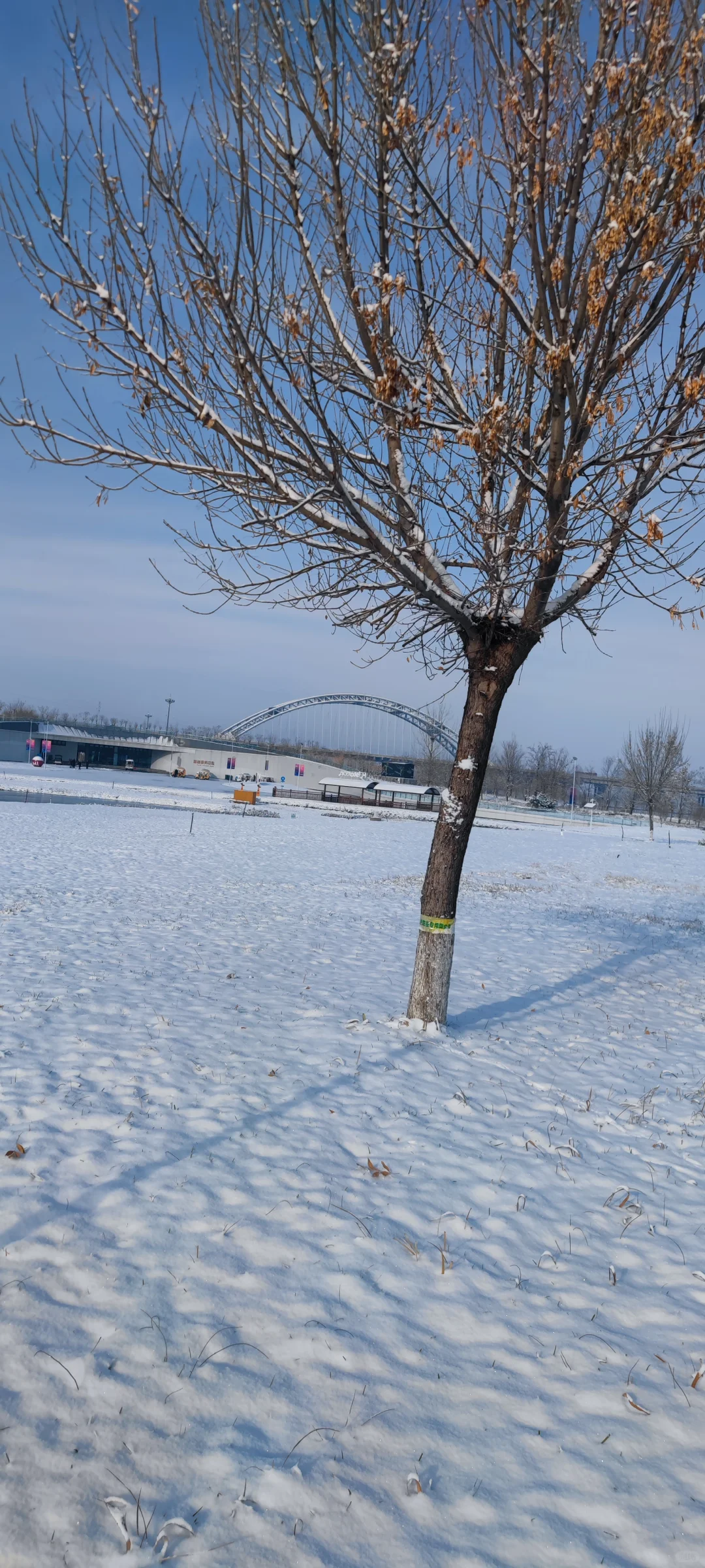 石家庄今年的第一场雪