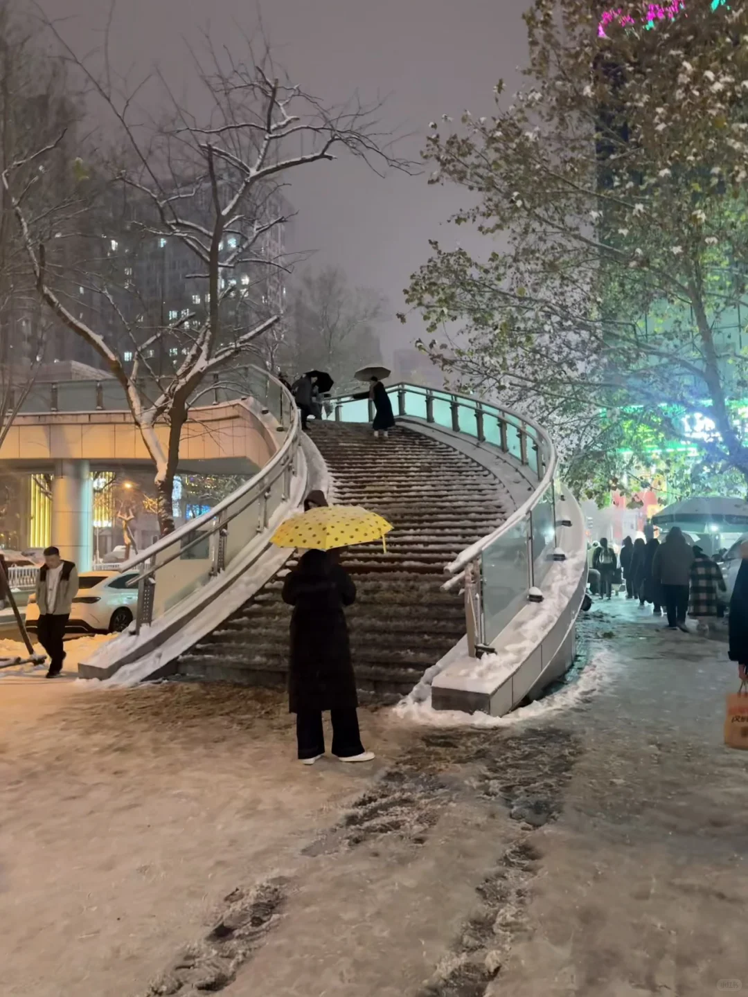 石家庄人今天都到家了吗😭😭太滑了！！！！