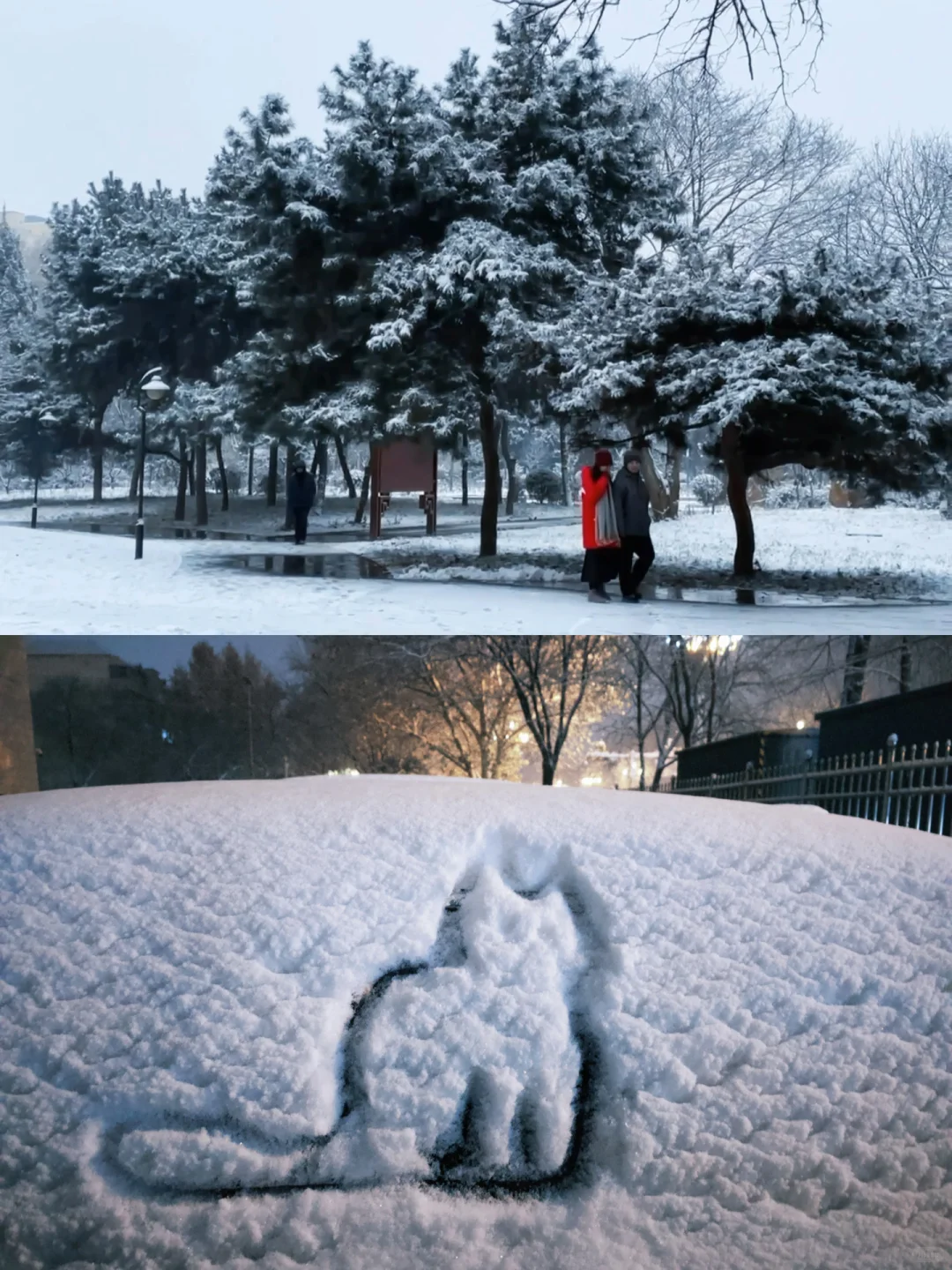 12.12实况 ｜石家庄下雪了