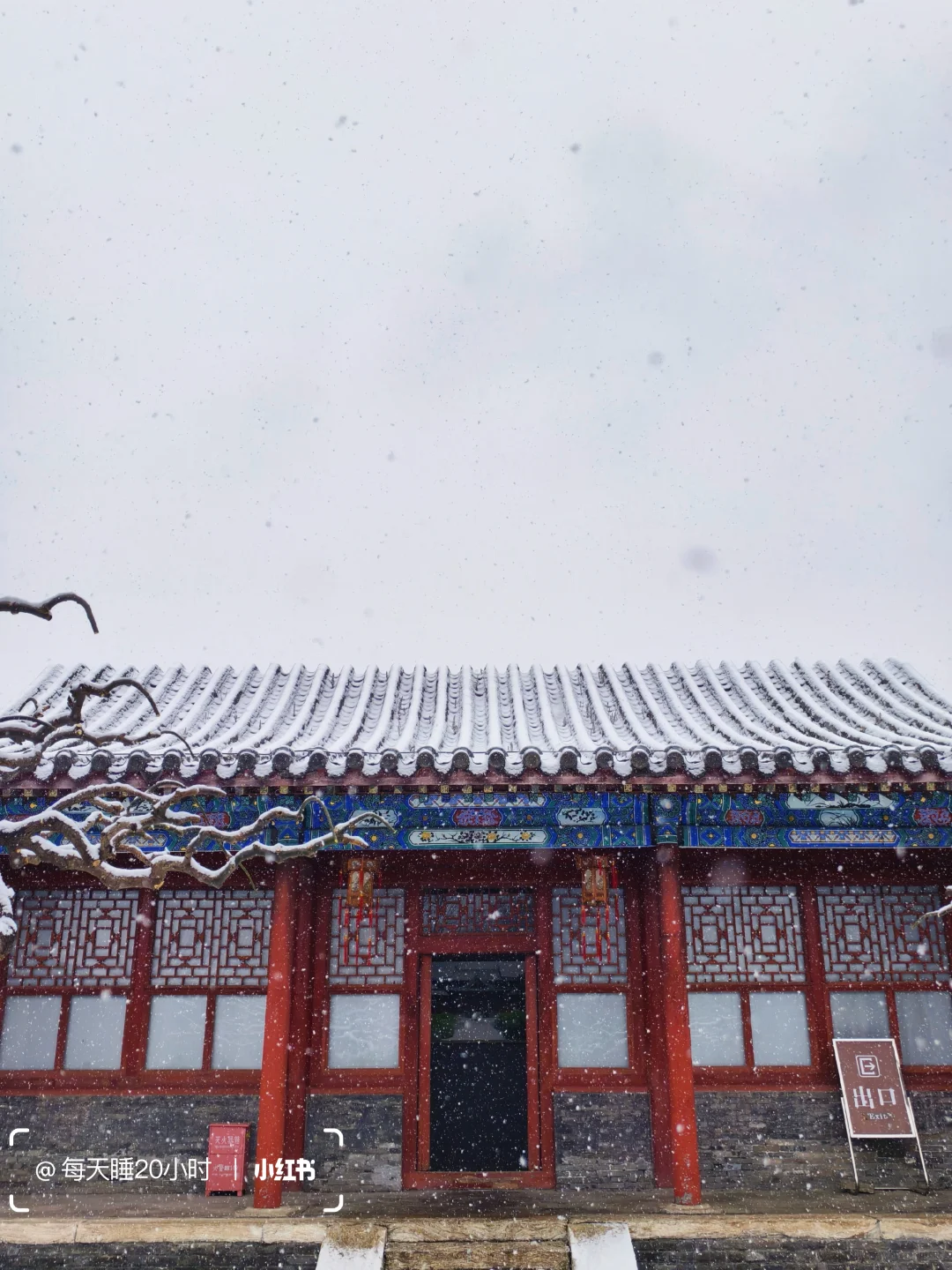 石家庄下雪啦❄️