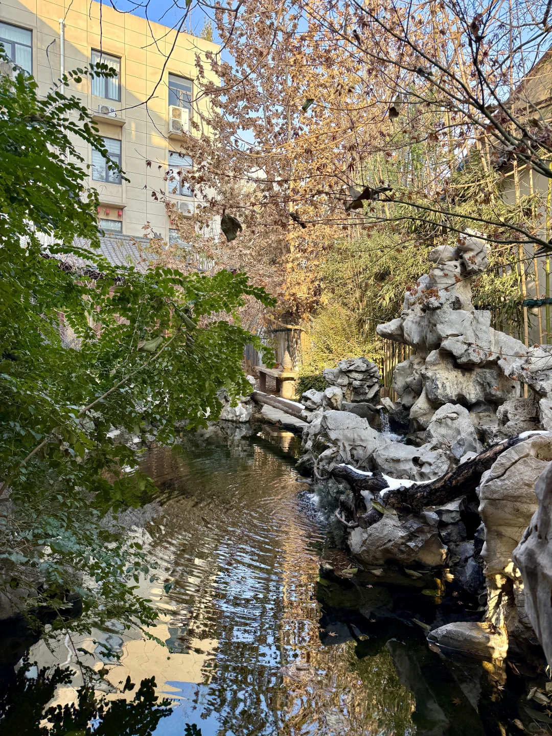 （石家庄）把生日过成江南园林诗🍂