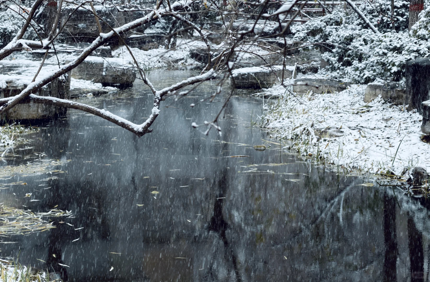 年年落雪❄️雪落年年