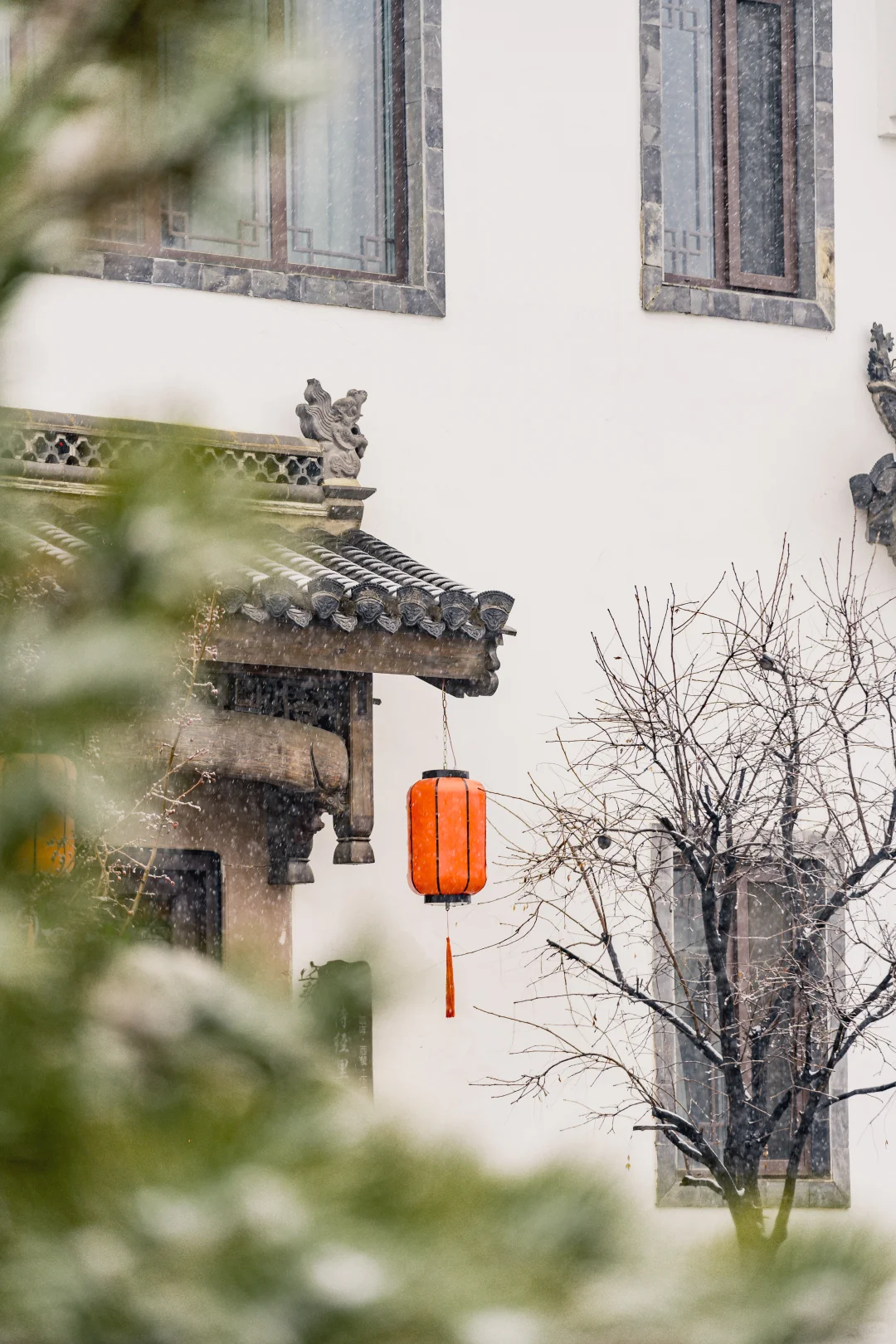 石家庄2025年的第一场大雪 该出去转转