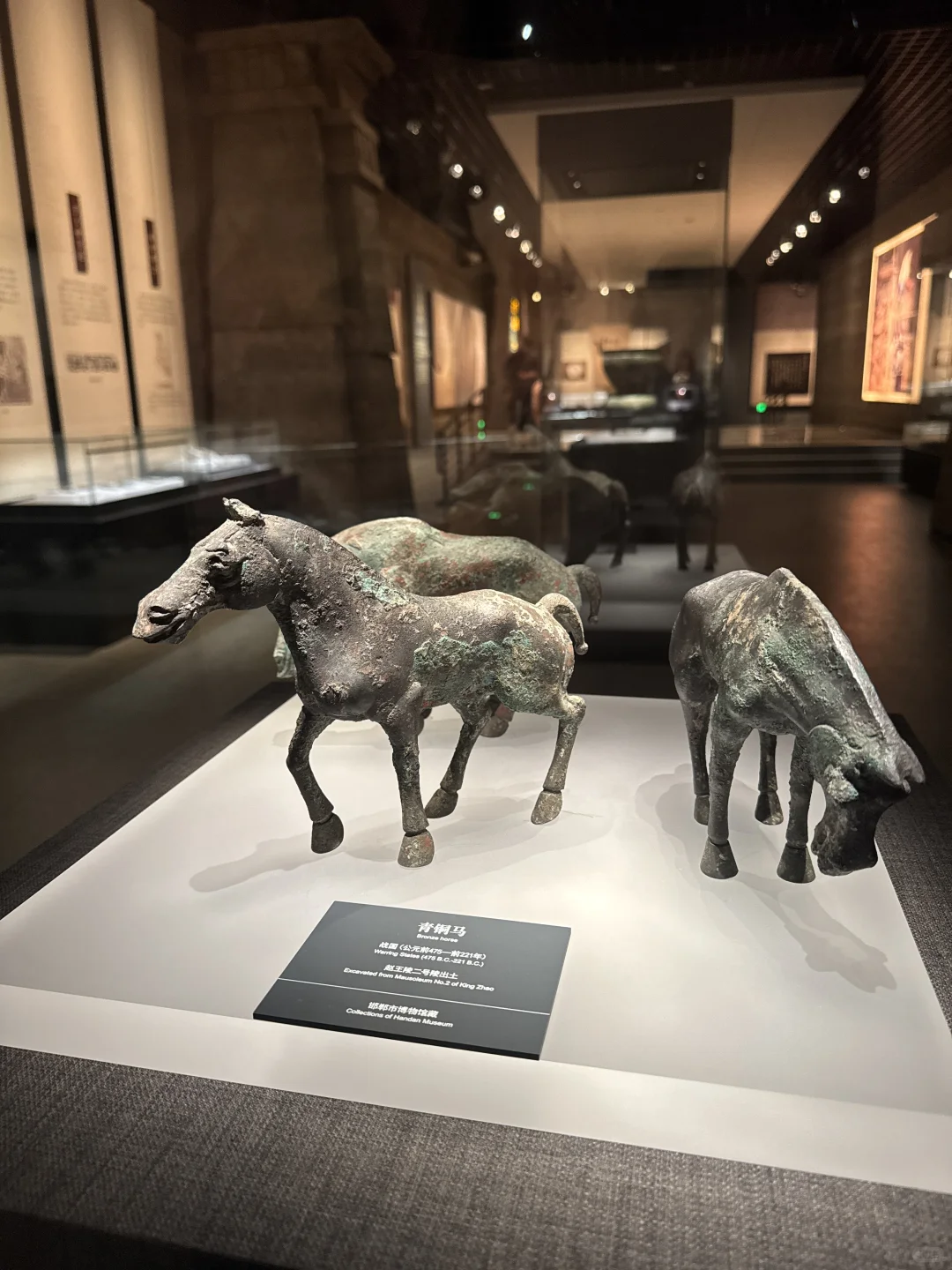 济南出发3小时!带娃自驾三千年古城邯郸！