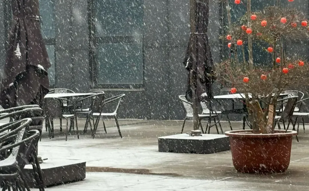 石家庄下雪了❄️