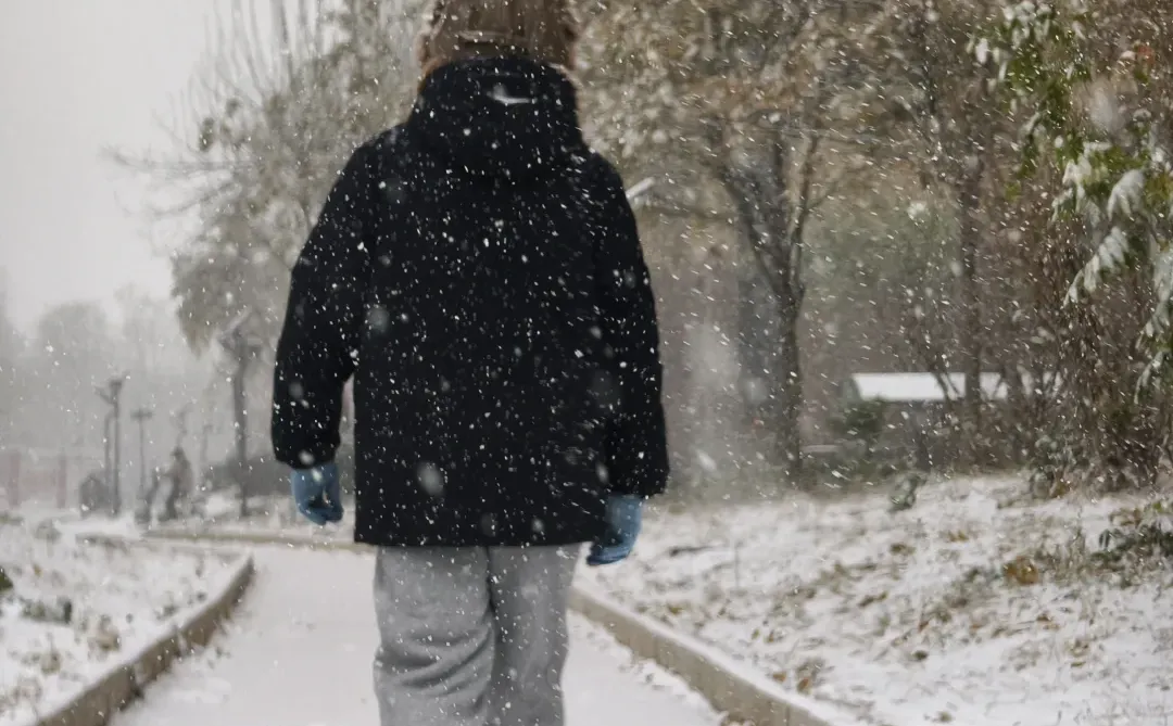 石家庄下大雪啦