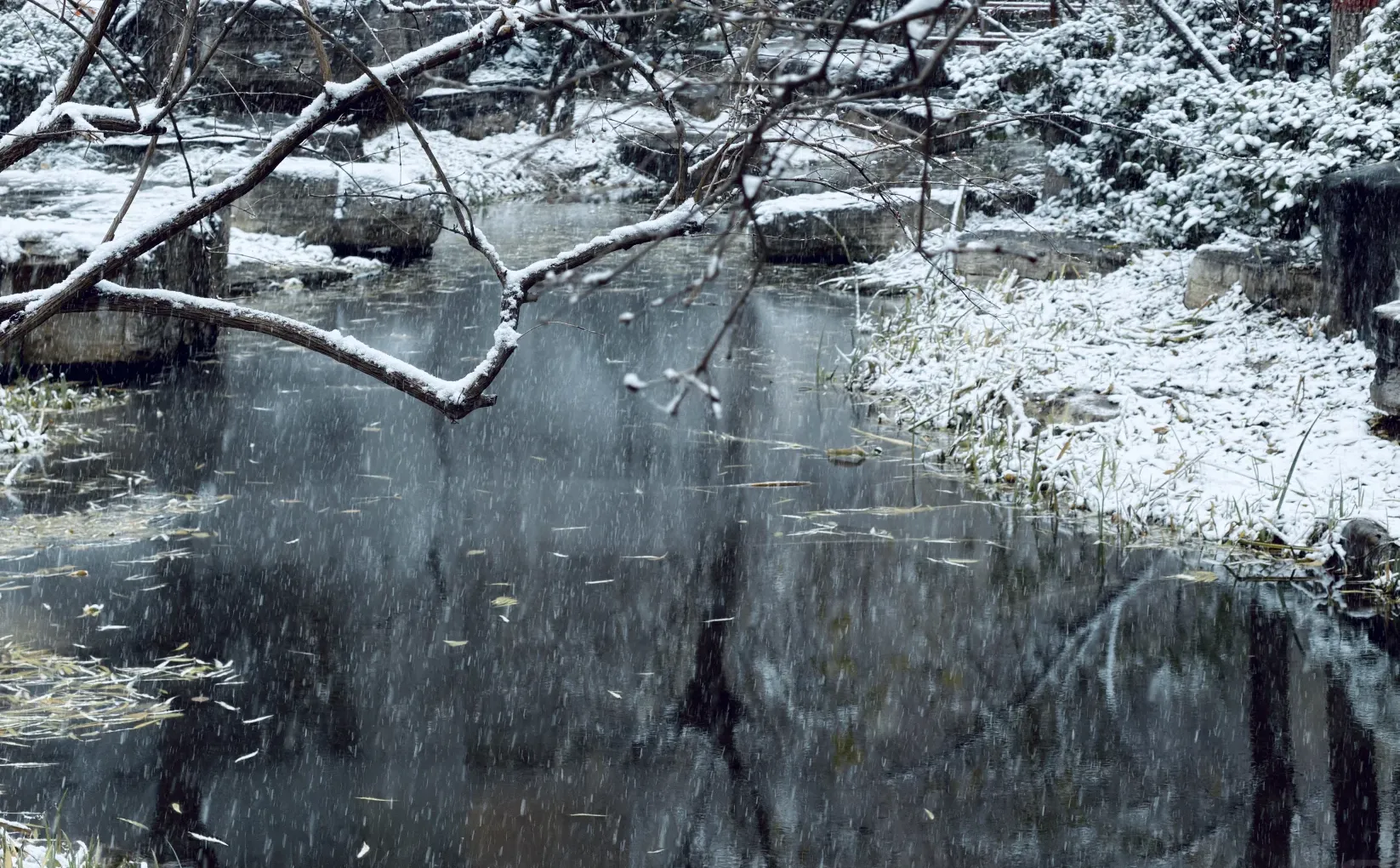 年年落雪❄️雪落年年
