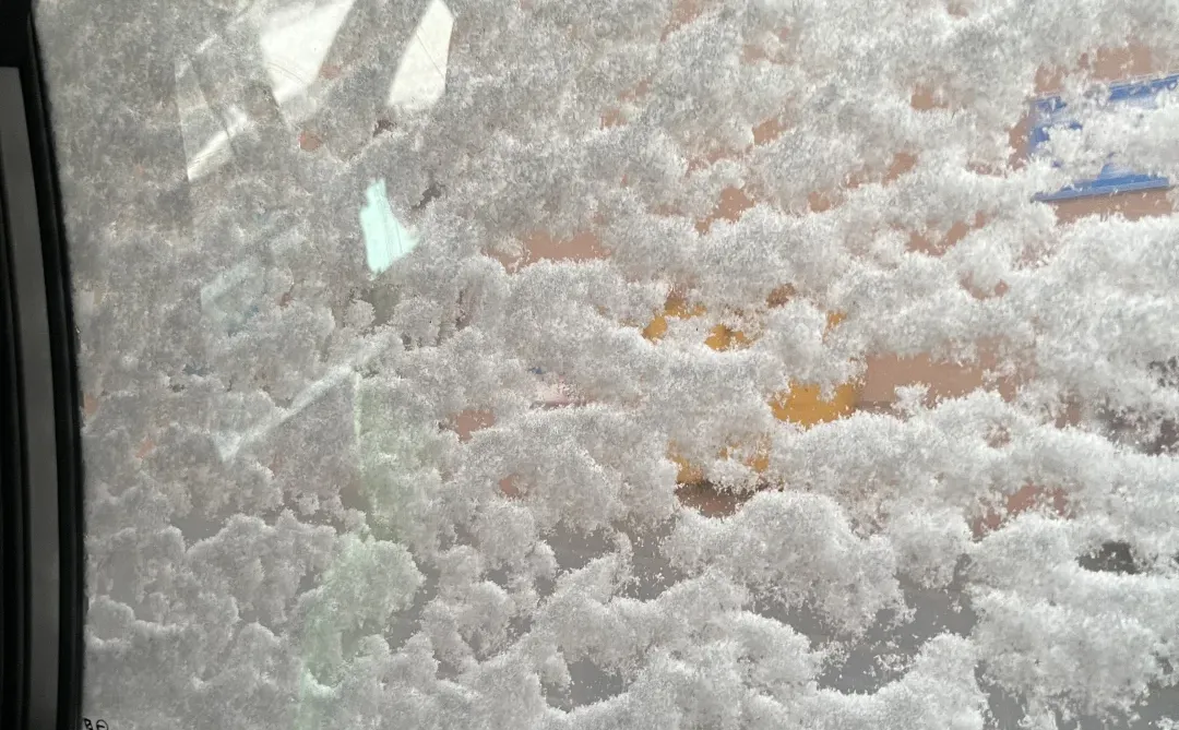 石家庄好样的！