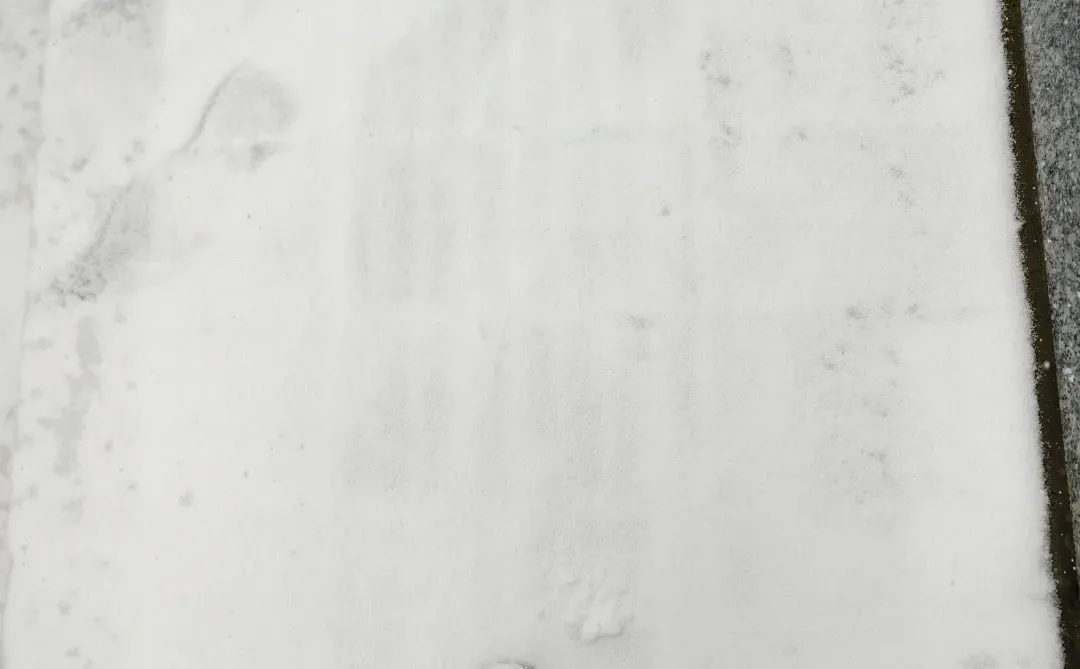 石家庄下雪啦❄！！！