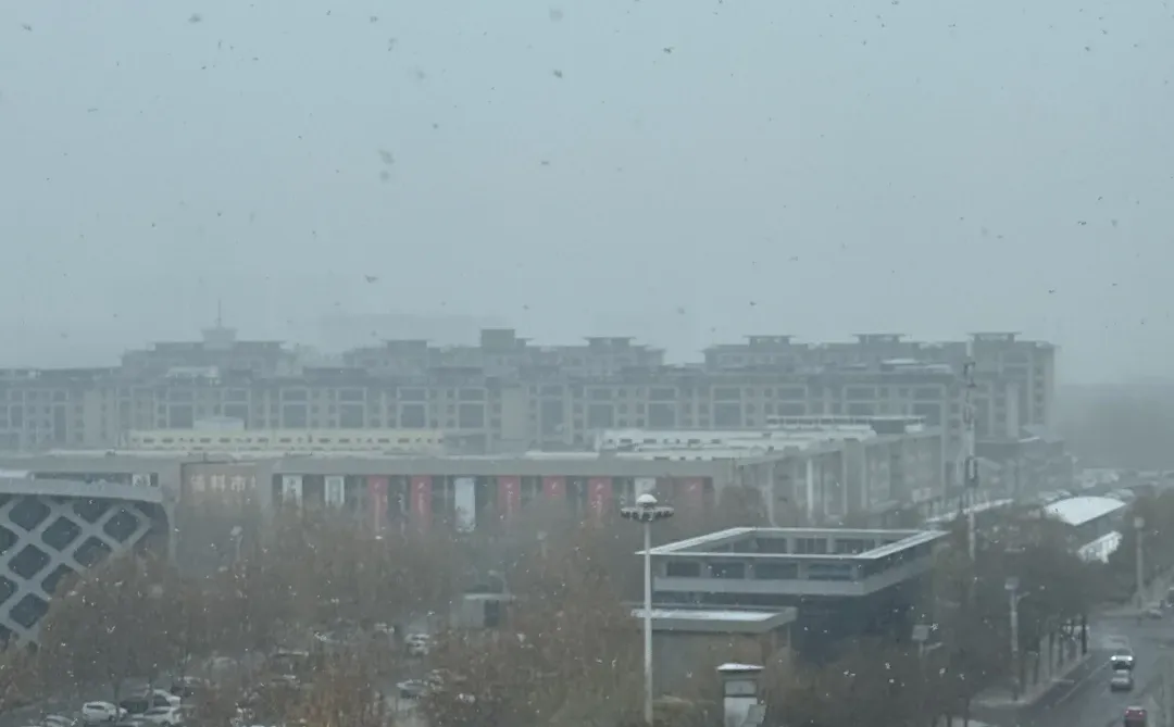 坐标石家庄 下大了 看看大家拍的！