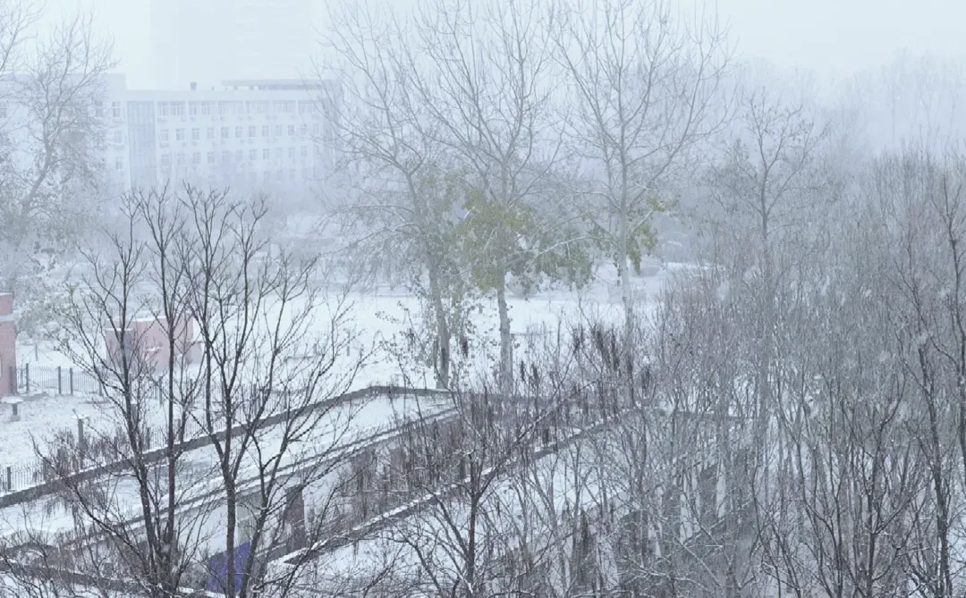 石家庄！！！下雪了❄️