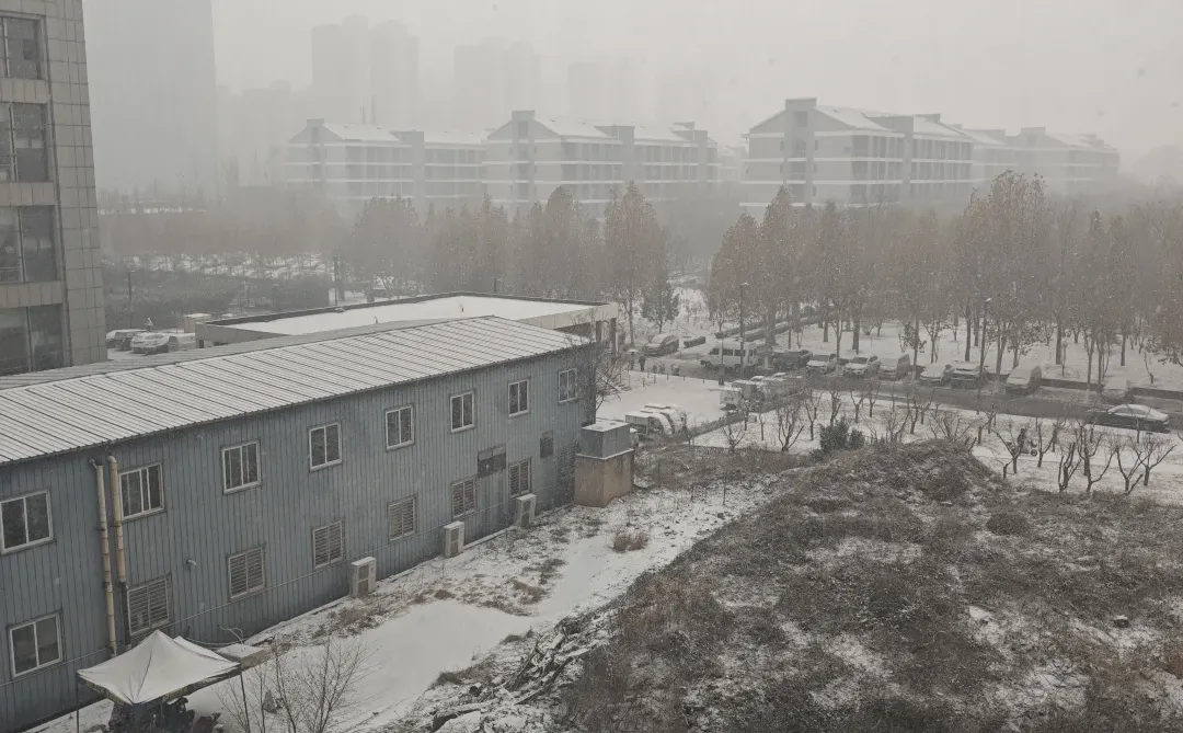 石家庄真的下雪了